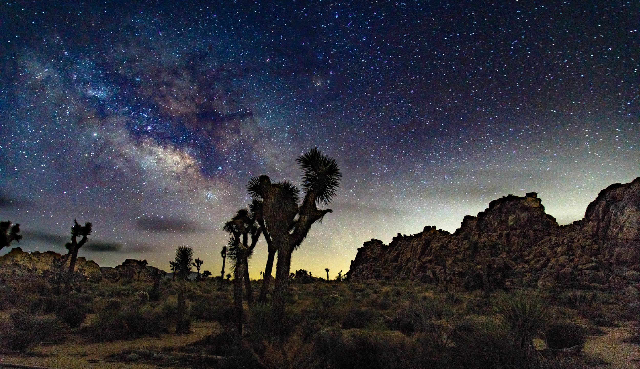 See the stars against Joshua Tree’s landscape