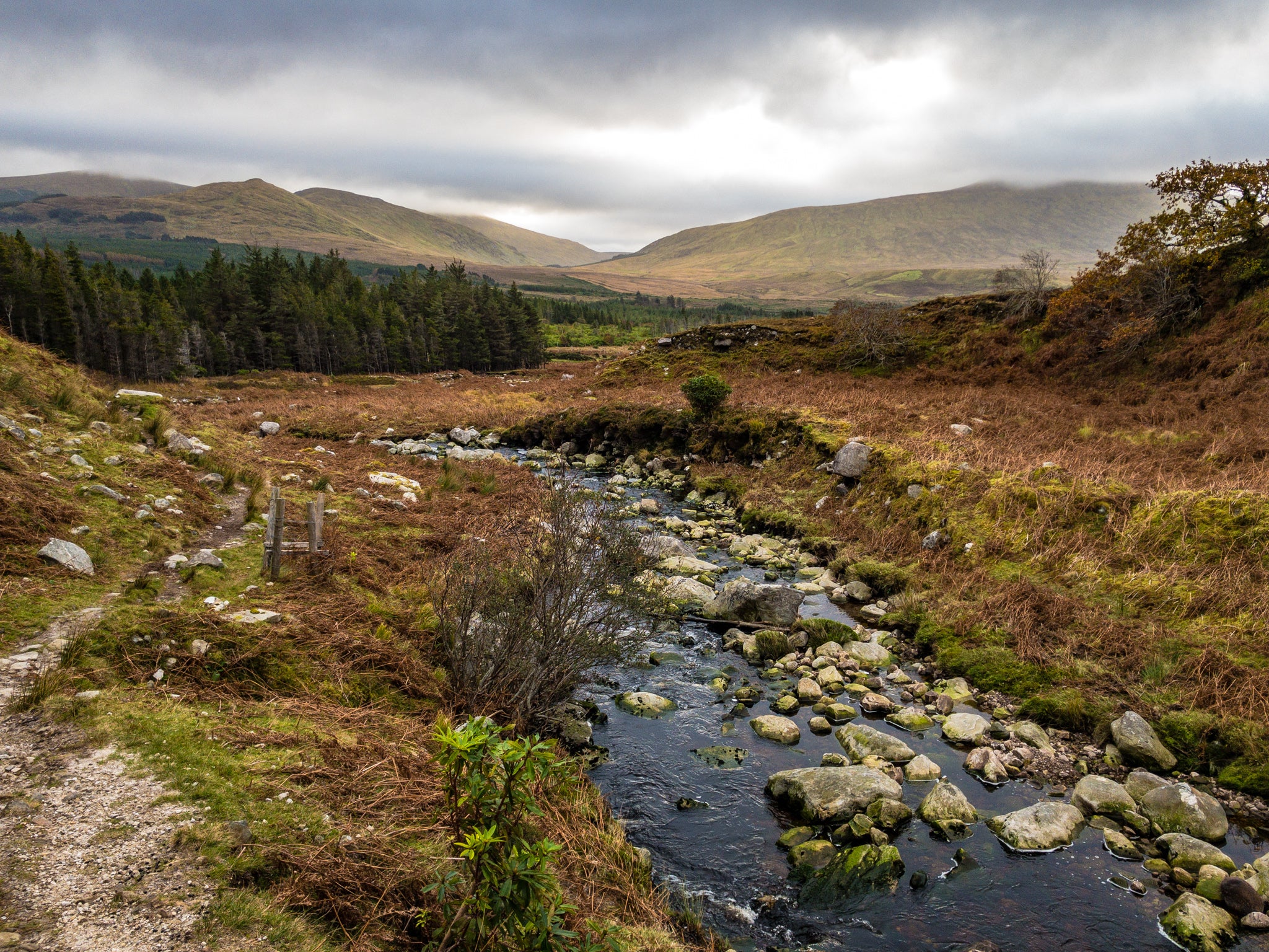 &#13;
&#13;
Peatland perfection for spotting stars &#13;