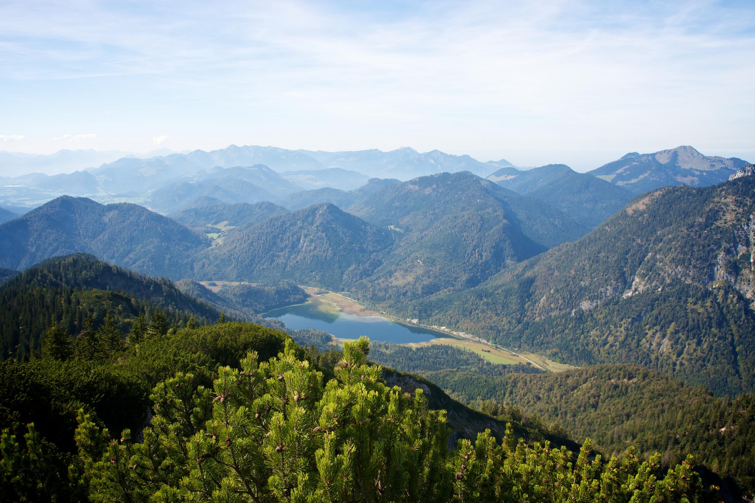 Bavarian beauty