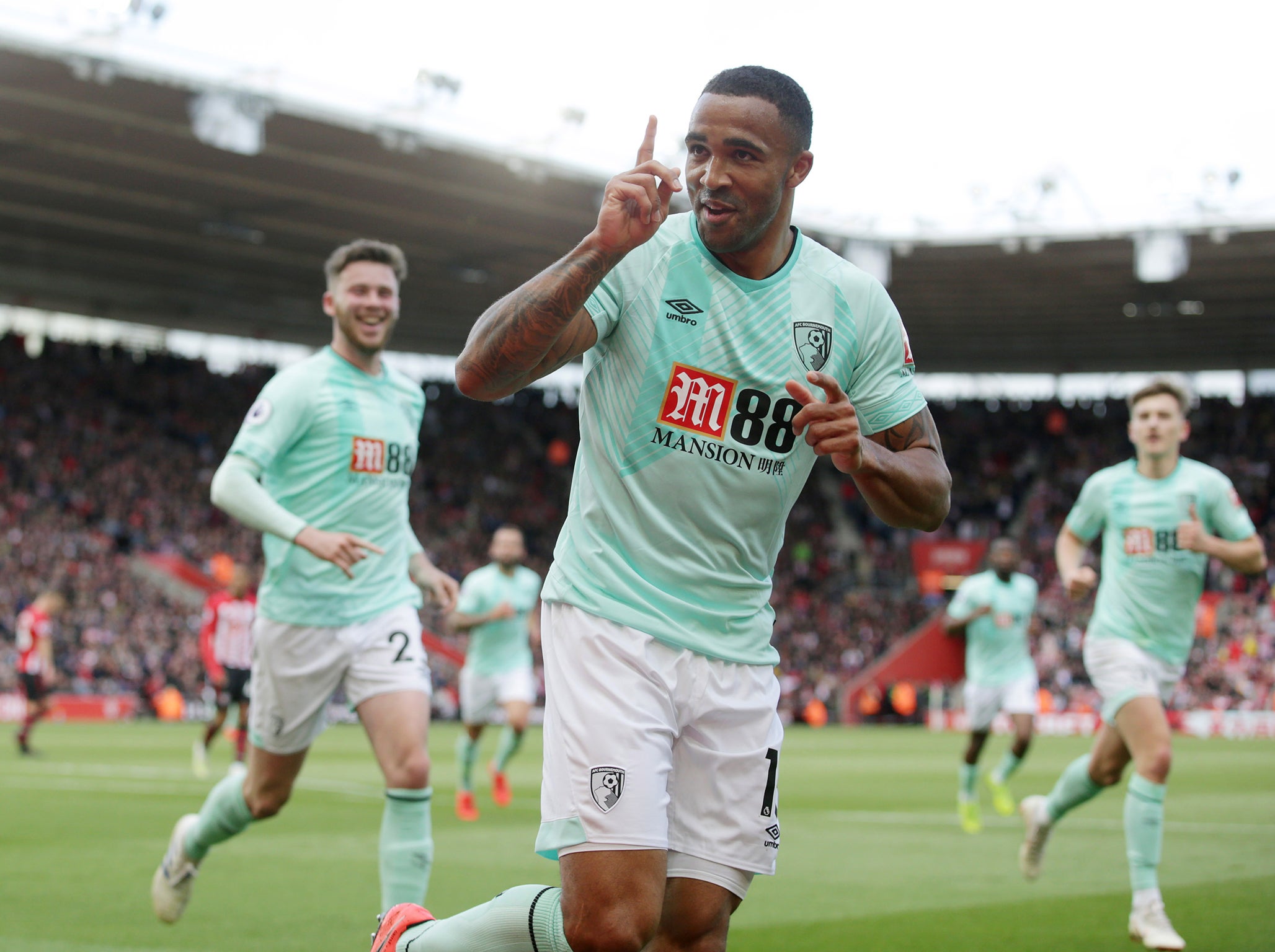 Callum Wilson celebrates against Southampton, but the Saints sealed survival