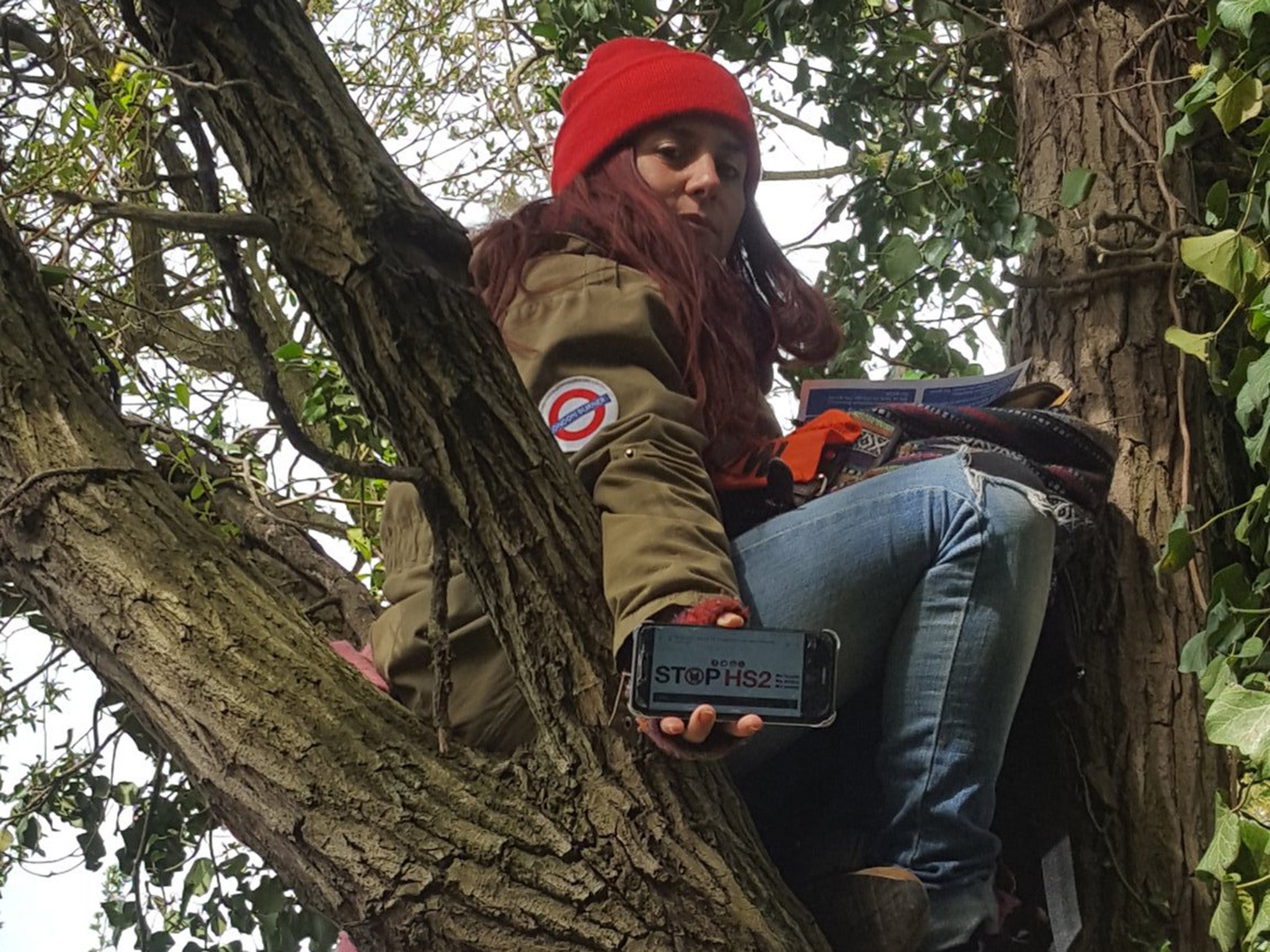 Activists scaled the trees at 6am, two hours before they were due to be cut down (Joe Rukin/Stop HS2)