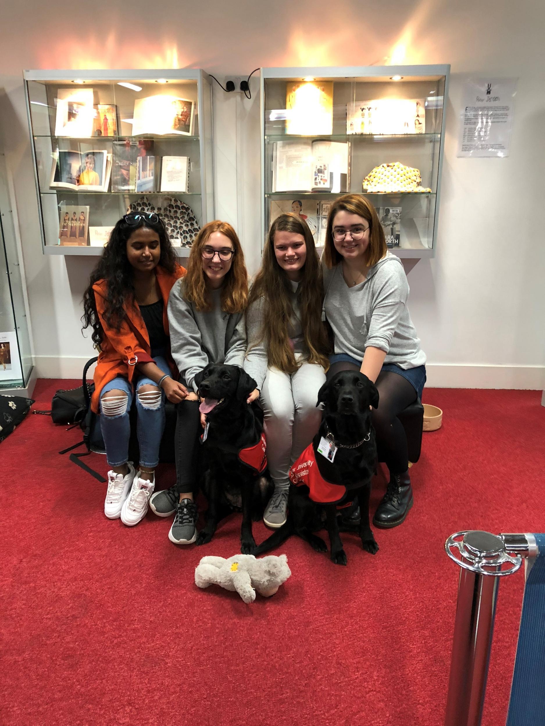 Middlesex University is using dogs to help students with exam stress