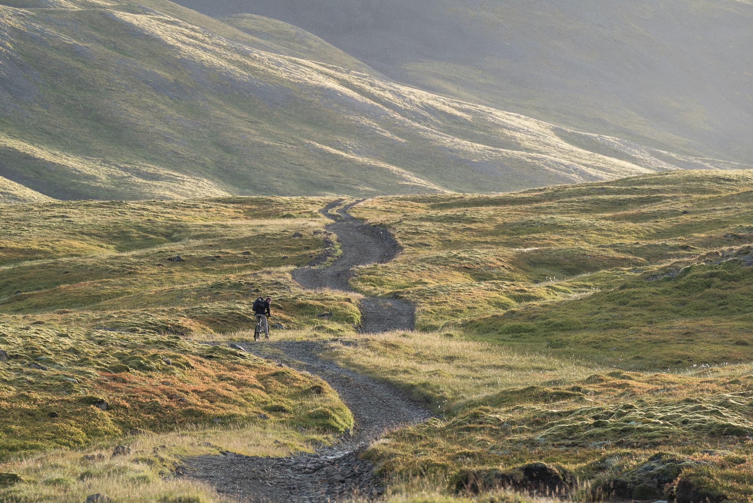 Iceland's wild landscapes can grow all kinds of food