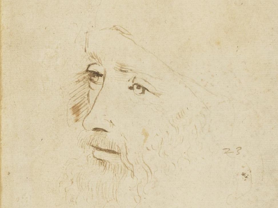 World's second known portrait of Leonardo da Vinci uncovered