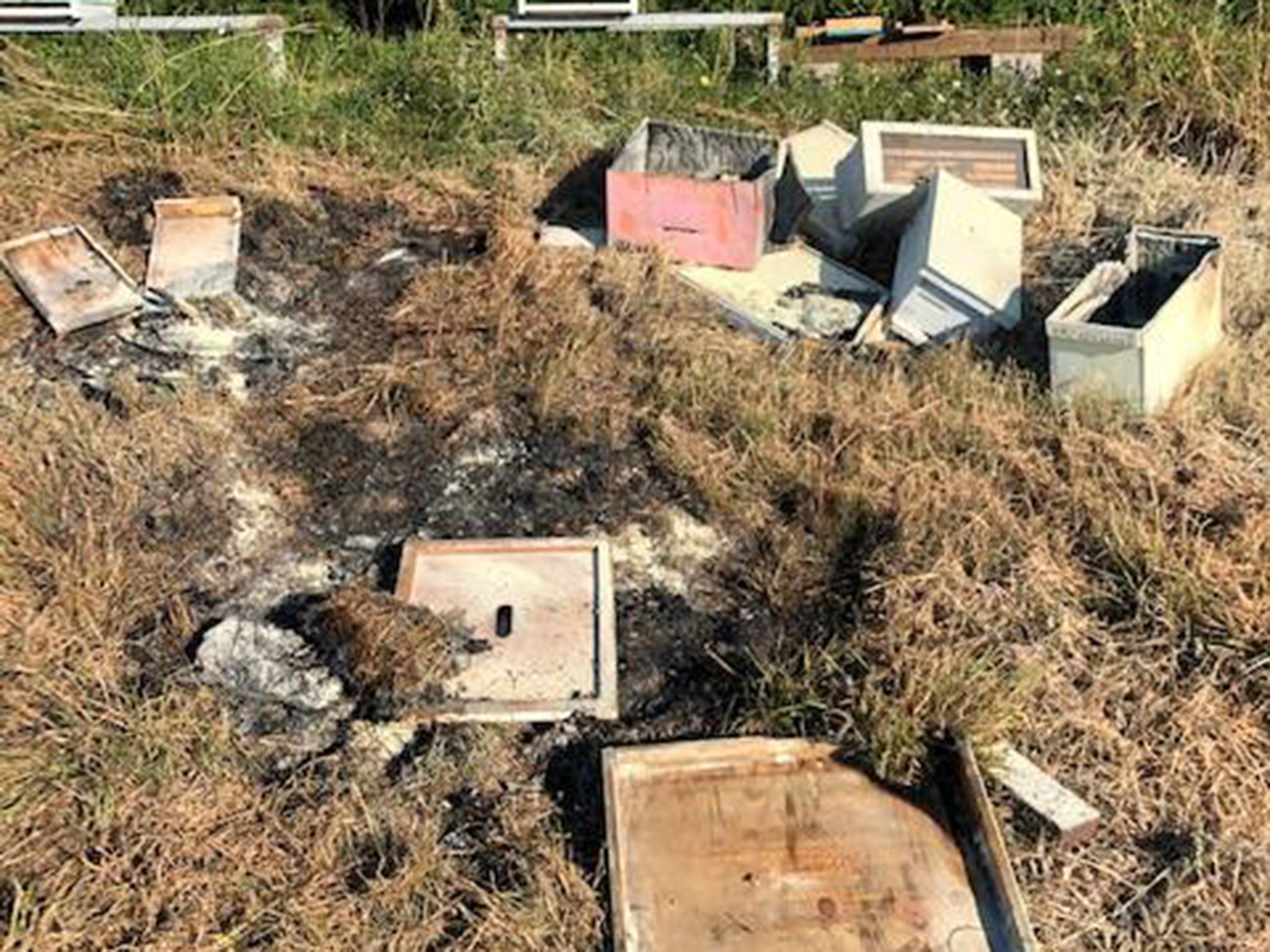 Most of the 20 hives were incinerated with some tossed into a pond or toppled over