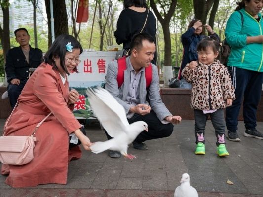 Zeng feeding pigeons in a park with her husband daughter (The Washington Post)