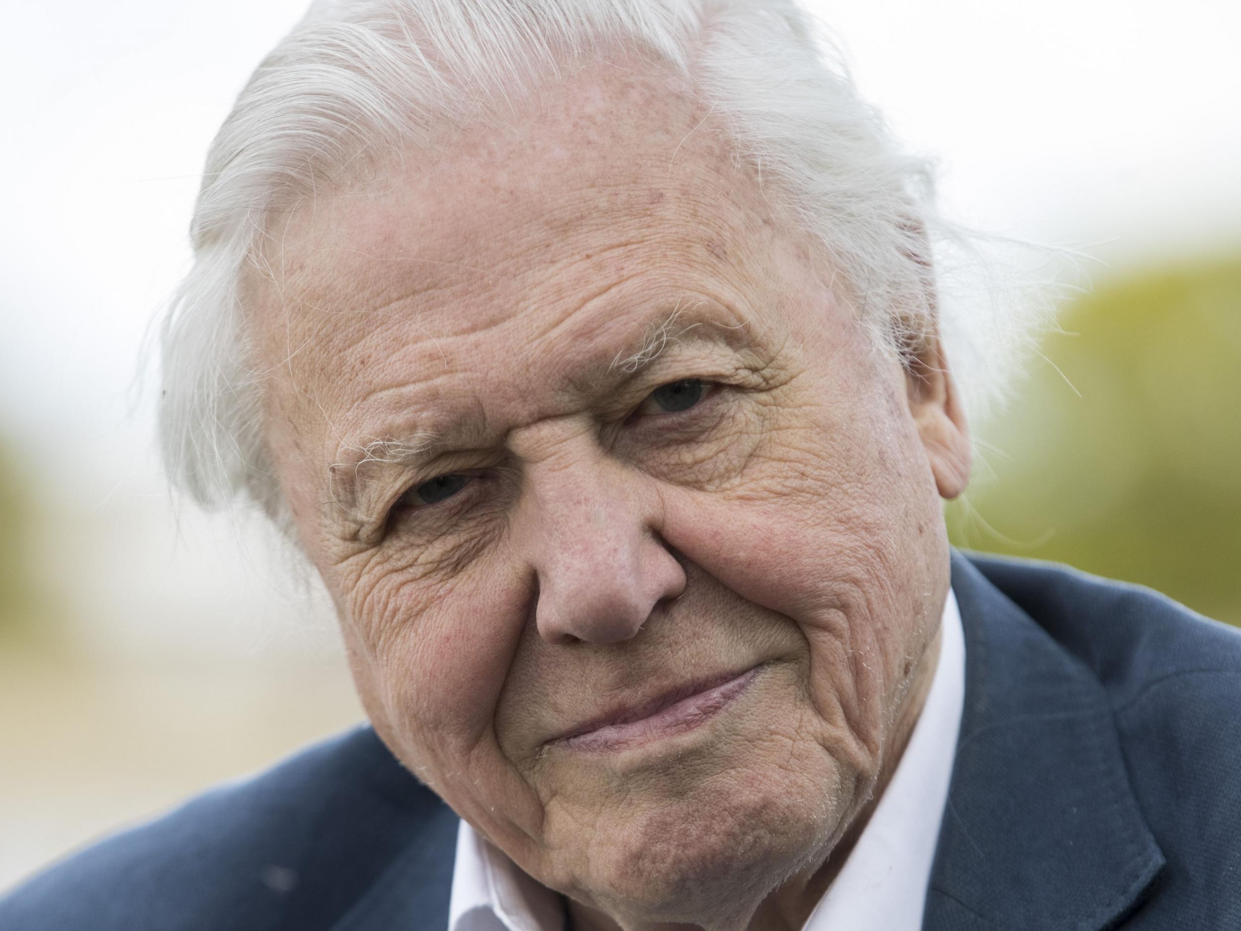 David Attenborough: 15 of the naturalist’s best quotes