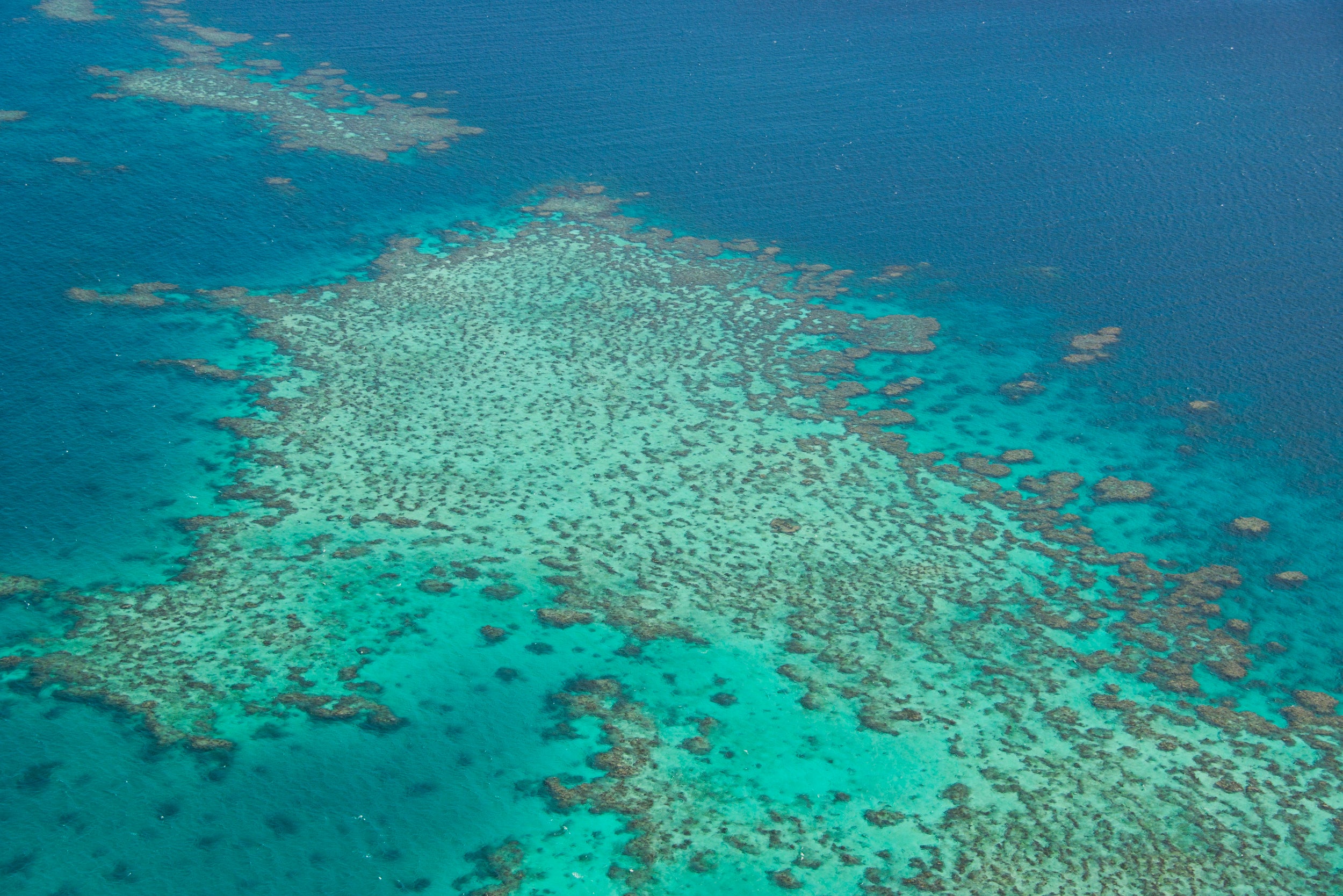 In the 20th century, old reefs like the Great Barrier off Queensland started to come undone