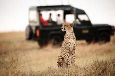 Kenya: 5 ecotourism destinations and the animals you could spot 