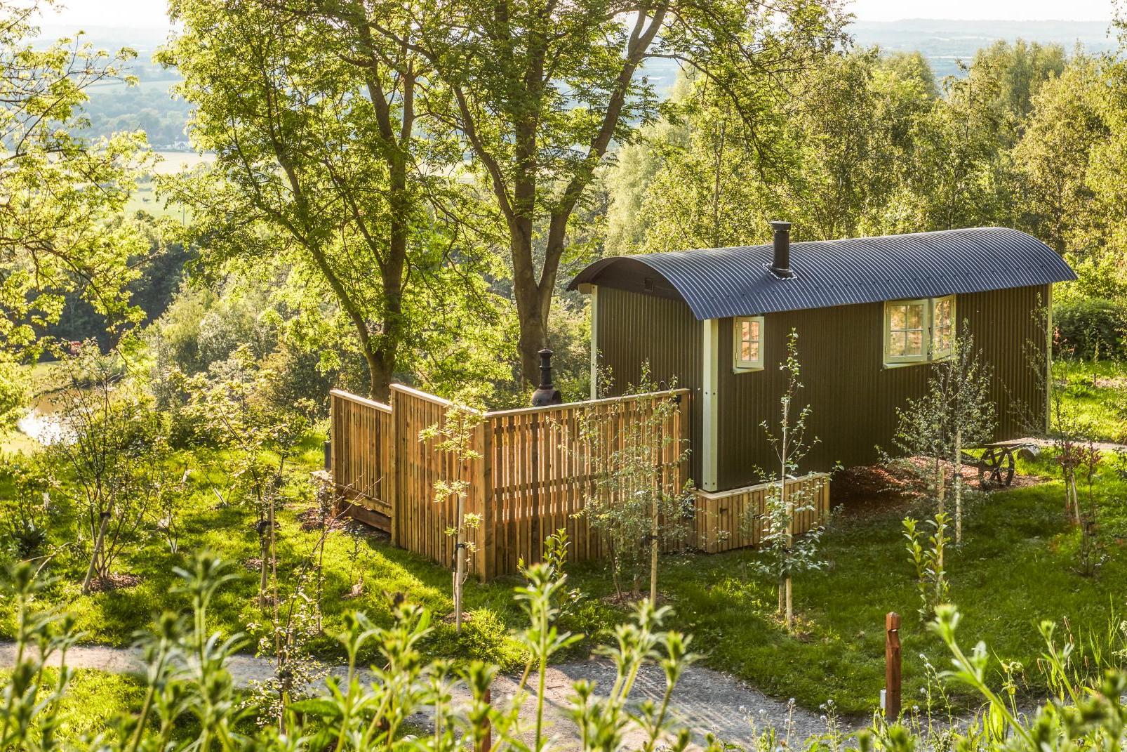 Each tree house comes with a bunk-bedded room for children