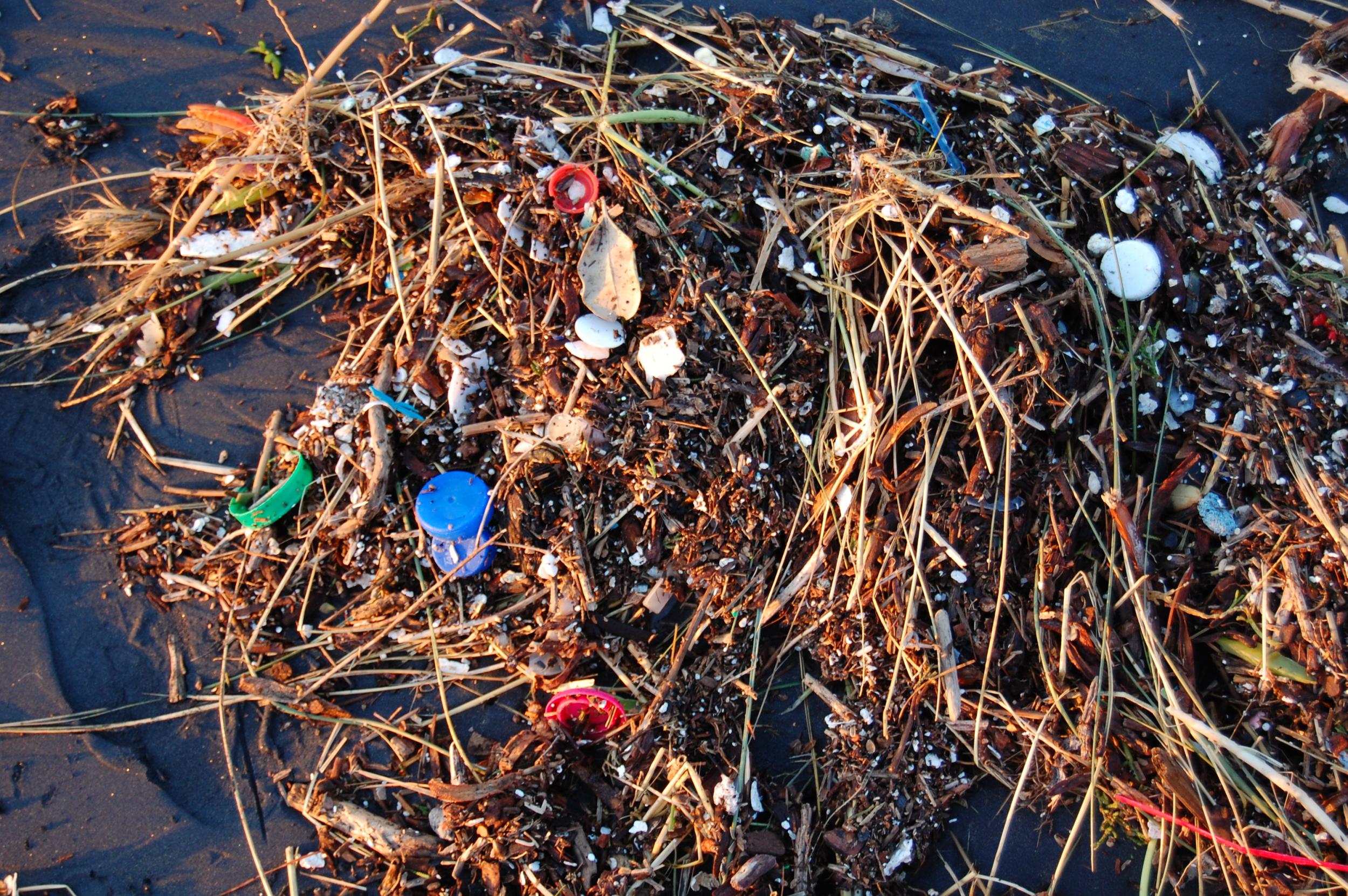 The problem is only getting worse, with marine plastic set to outweigh fish by 2050