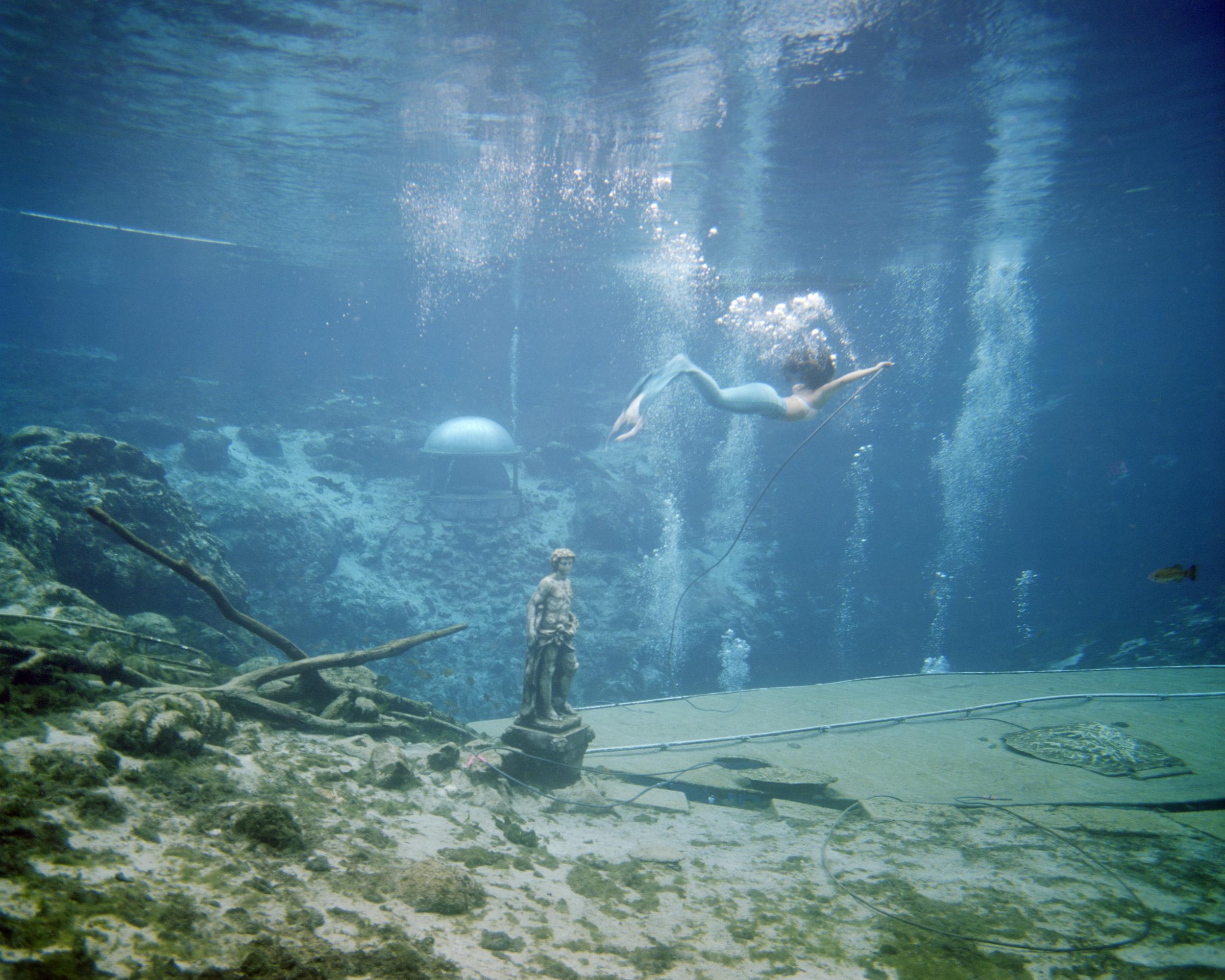 The Mermaid, Weeki Wachee Springs, 2017