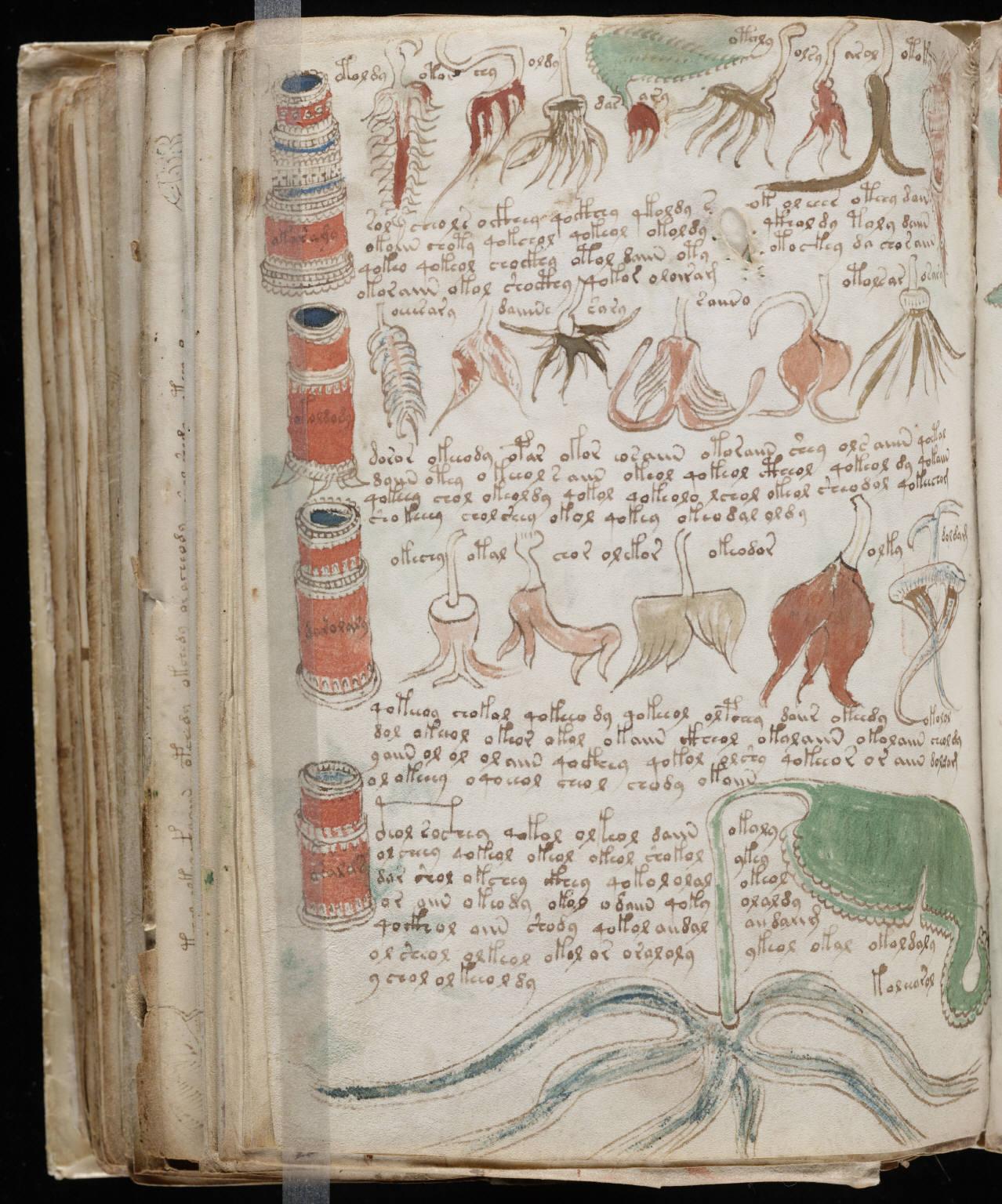 Pages from the Voynich manuscript