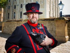 Raven chicks born at Tower of London for first time in 30 years