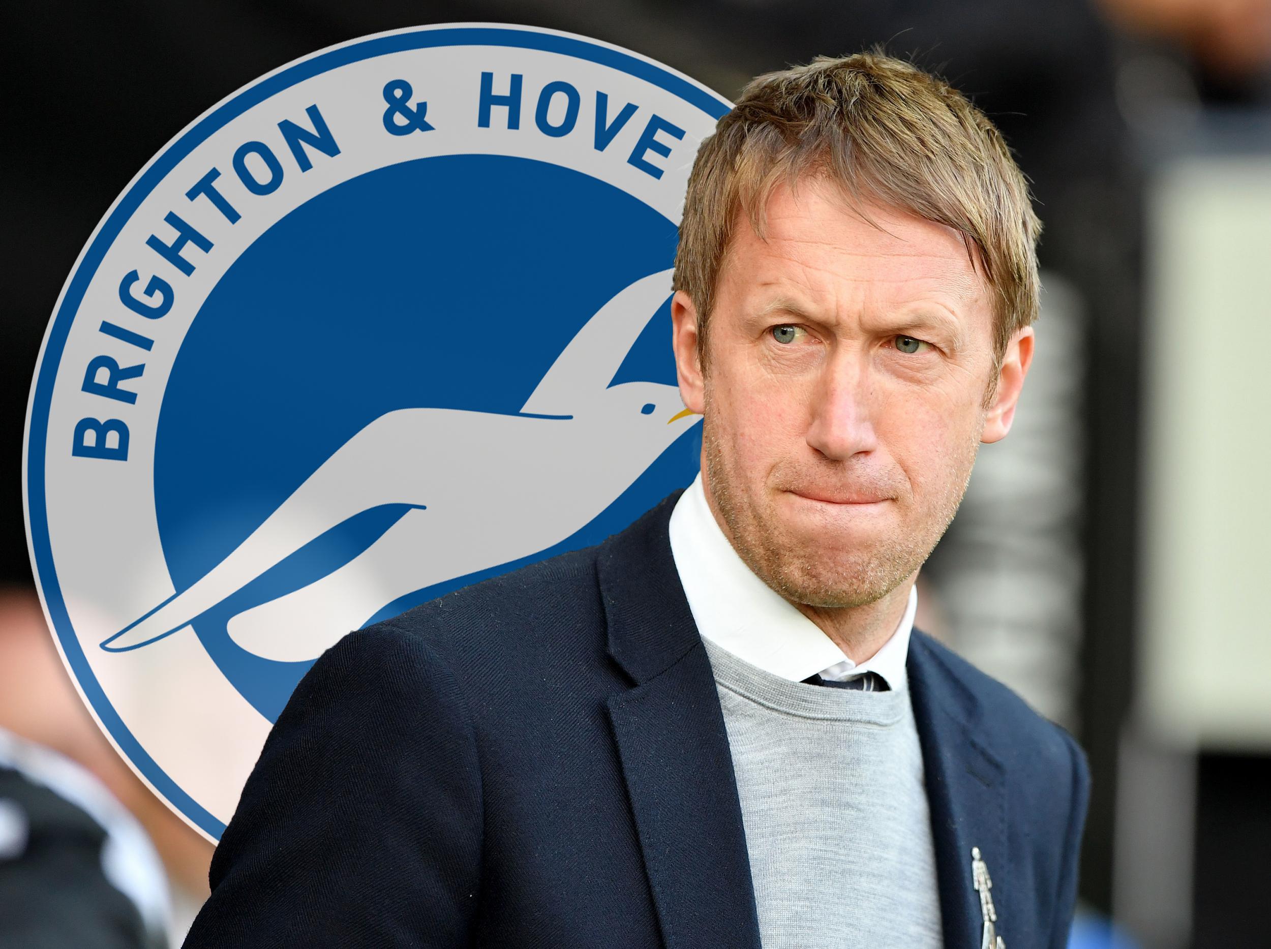 Graham Potter is the new Brighton manager