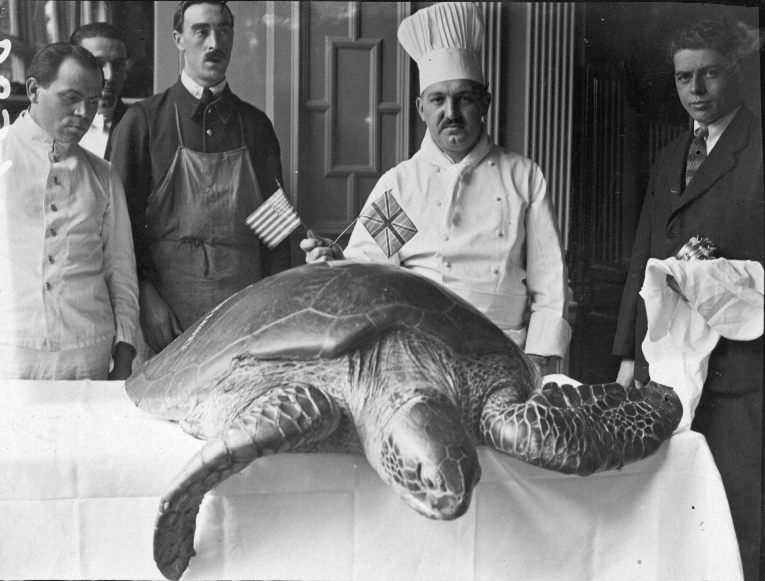 A chef with the turtle he is going to use for soup for the 1922 Independence Day celebrations