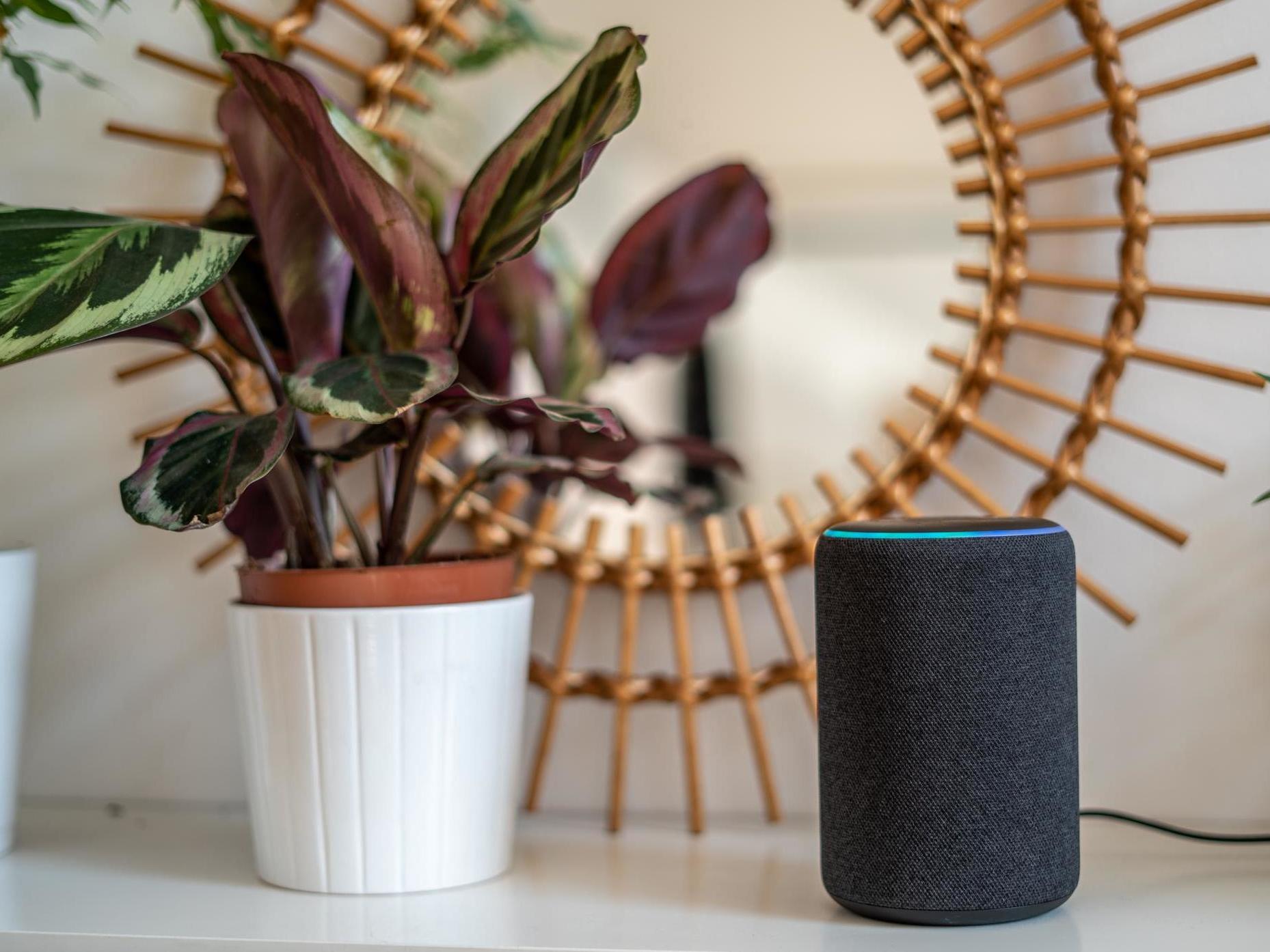 File image of Amazon Alexa Echo Plus.