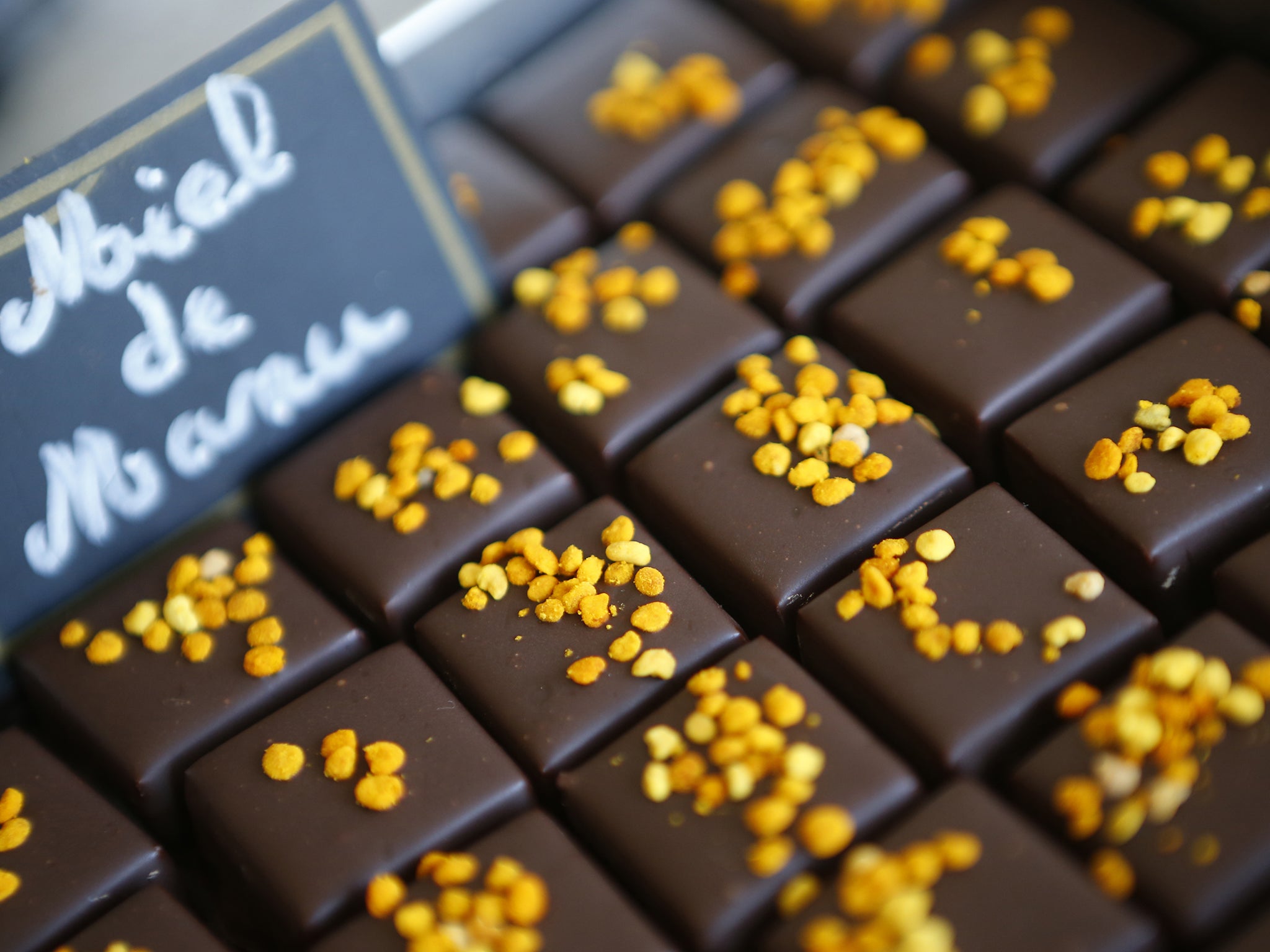 The molecules and smells that make up the aroma of dark chocolate aren’t what you might expect