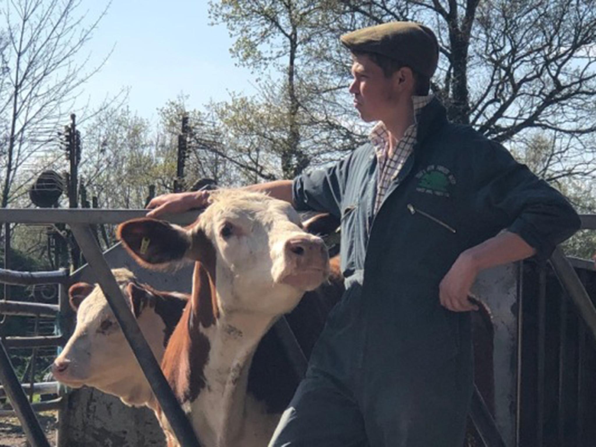 Farmer Tom Hordle guides visitors around the New Forest, where he grazes his animals by common right