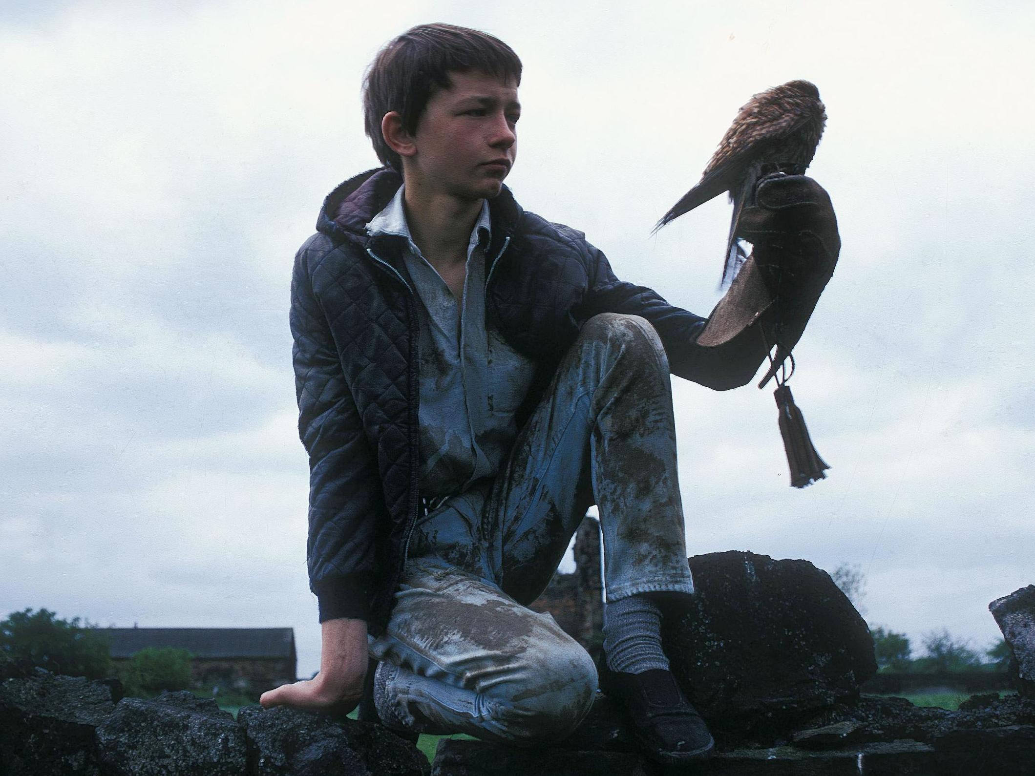 Wing and a prayer: Billy (David Bradley) with his feathered companion