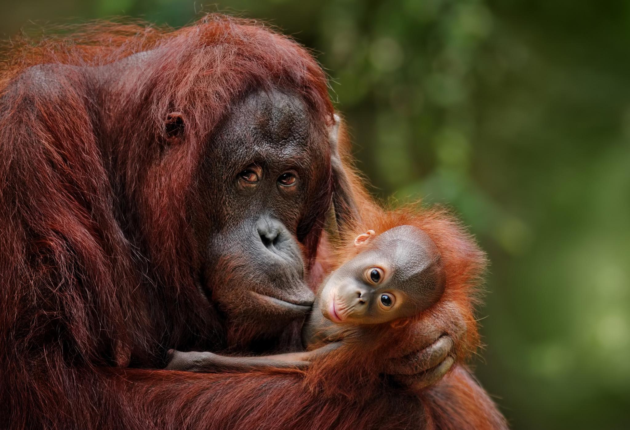 Hope’s baby who was a couple of months old didn't survive