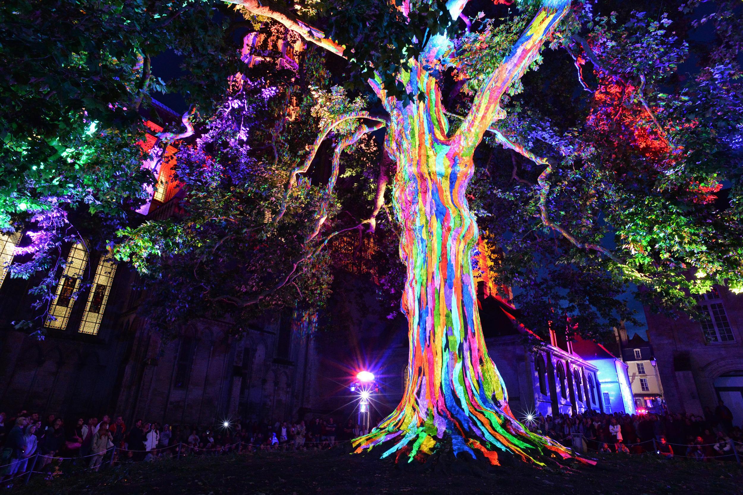 The illuminated Liberty Tree in the town of Bayeux (P Le Bris Bayeux Bessin Tourisme)