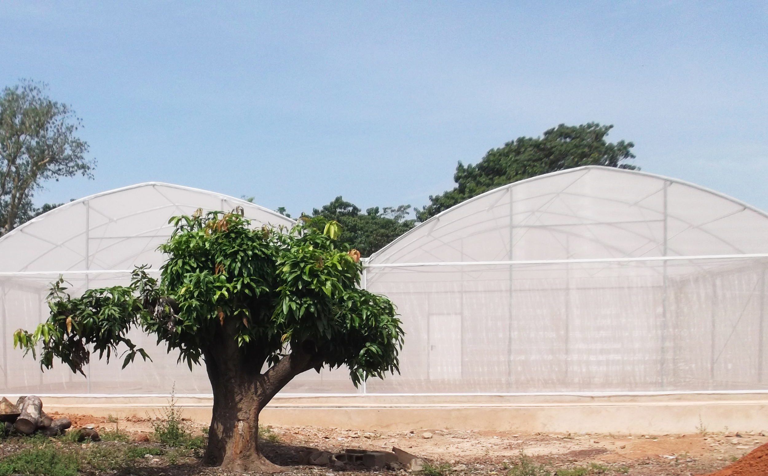 The MosquitoSphere spans 6,550-square-foot in Burkina Faso but it can never capture all the complexity and uncertainty of the real world