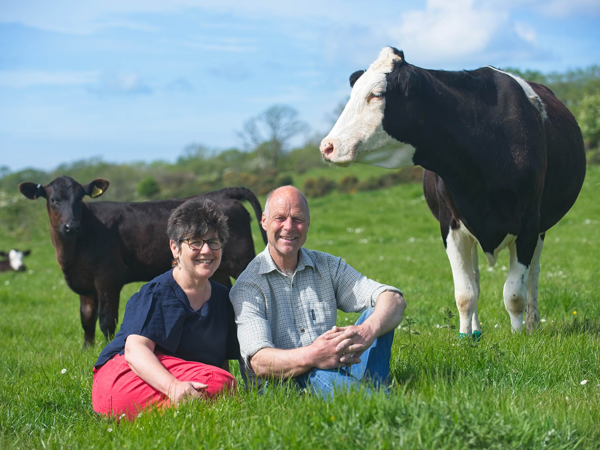 Understanding that veal is, undeniably, part of the dairy industry, Wilma and David Finlay are working to improve it