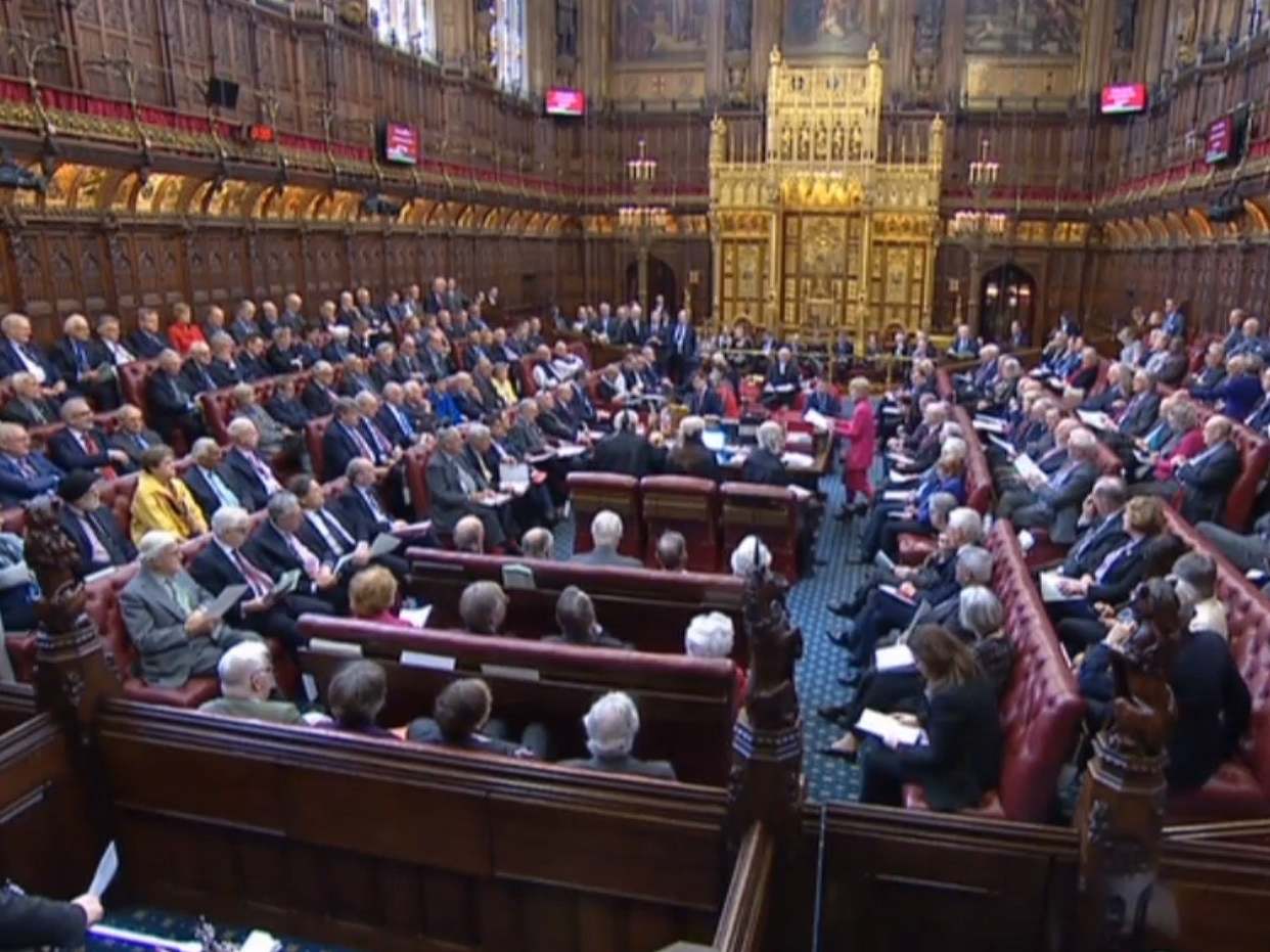 Baroness Hayter of Kentish Town speaking to peers in the House of Lords.