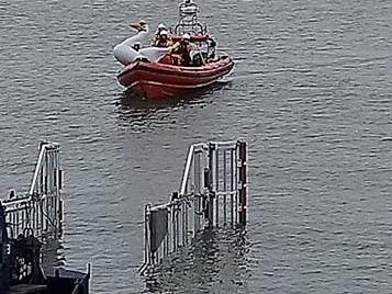 The children were safely brought back to shore - with the inflatable swan