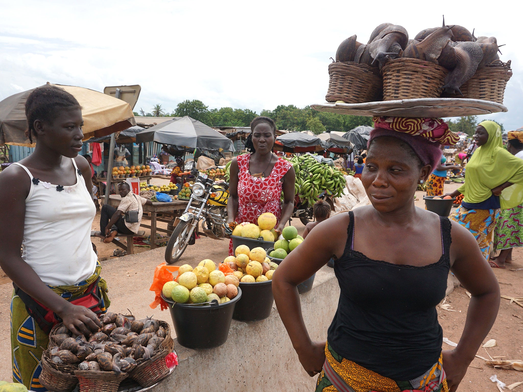 A woman sells giant African land snails at a market in Bouake