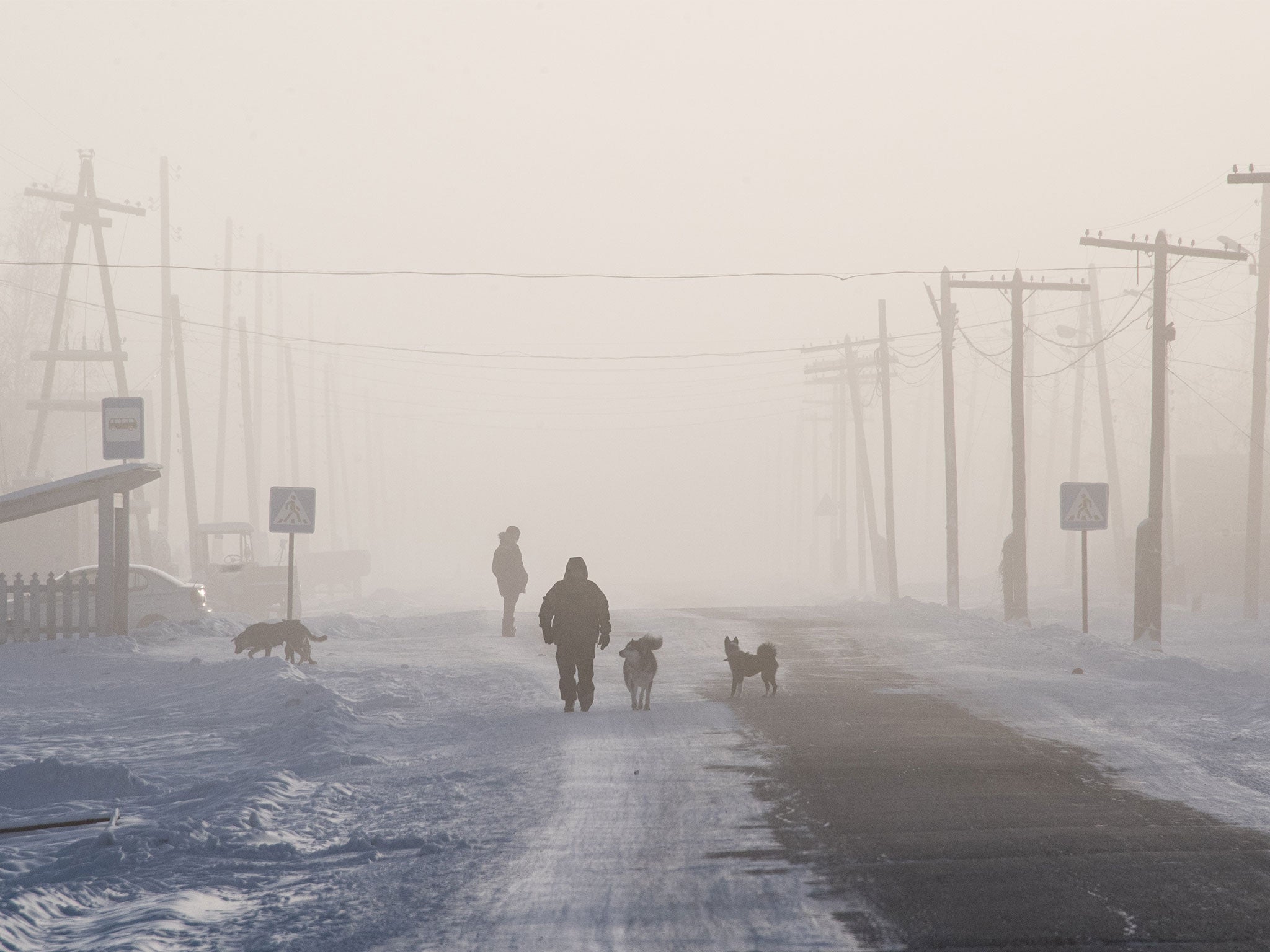 Yakutsk’s average temperature has risen from -10C to -7.5C in recent decades