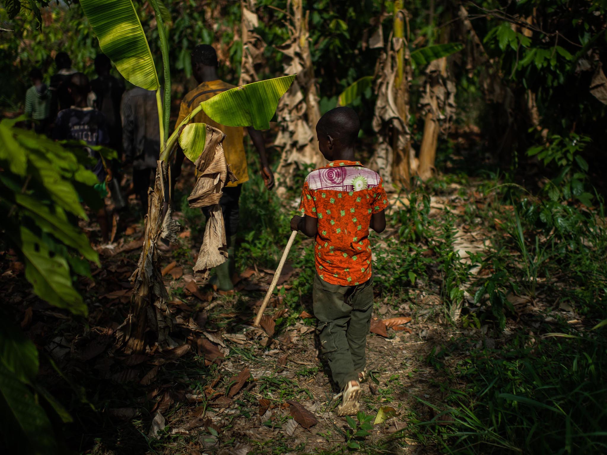 A young boy from Burkina Faso follows other children as they leave the cocoa farm where they work