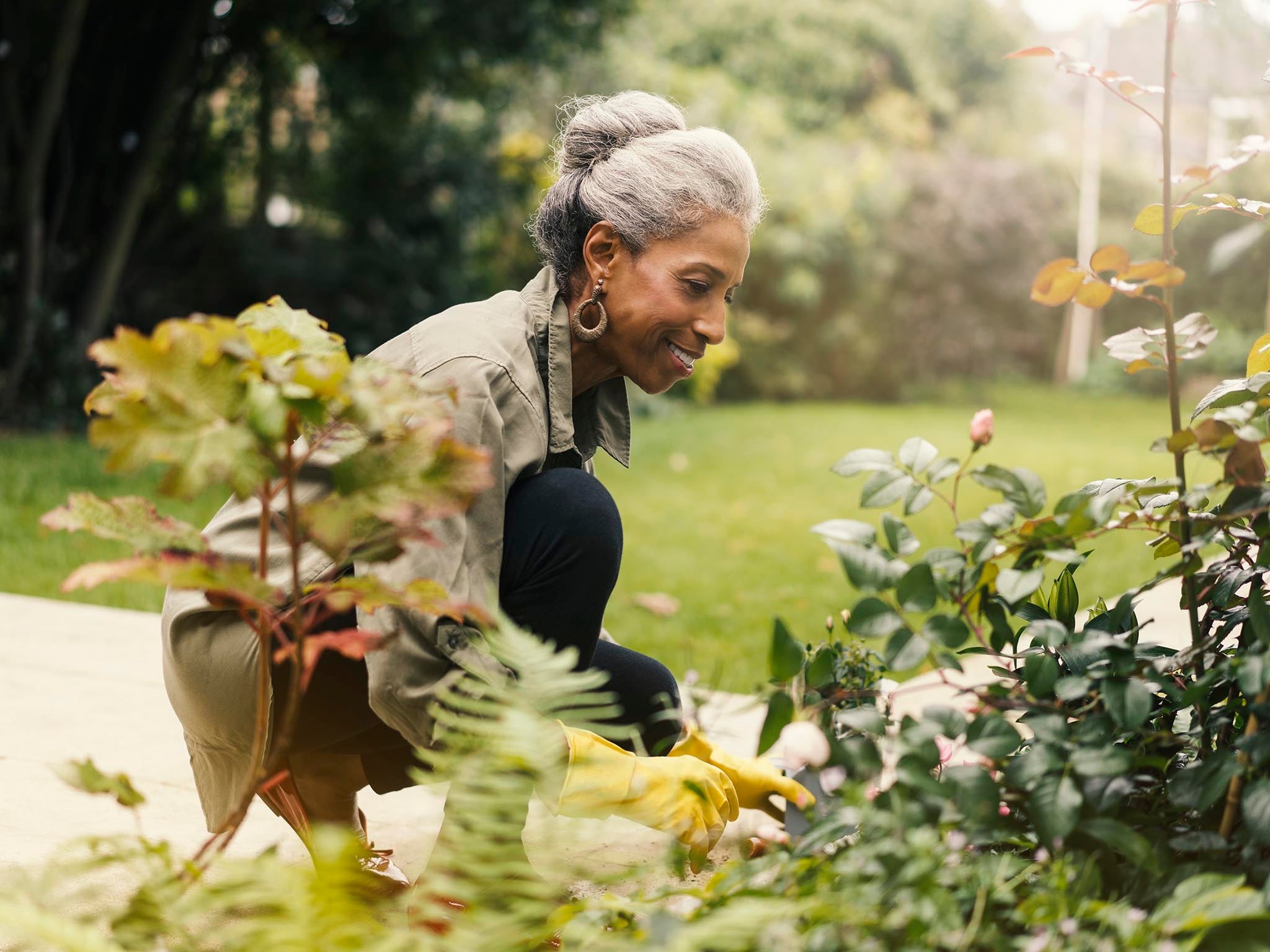 Spreading some locally-sourced wildflower seed on your lawn can improve its fertility and biodiversity