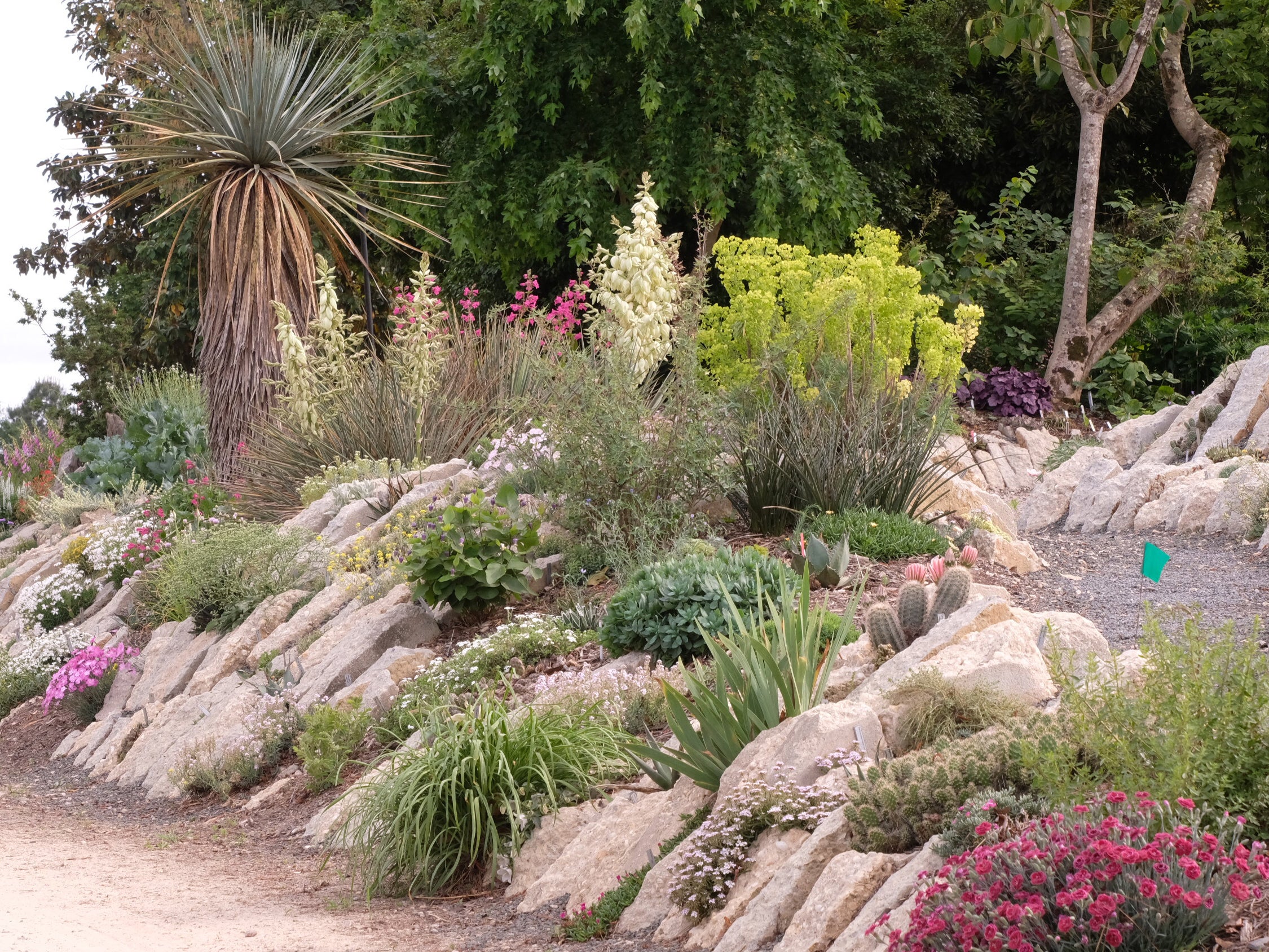 Plant collector and grower Tony Avent has created a 300ft-long crevice garden at Juniper Level Botanic Garden in Raleigh, North Carolina