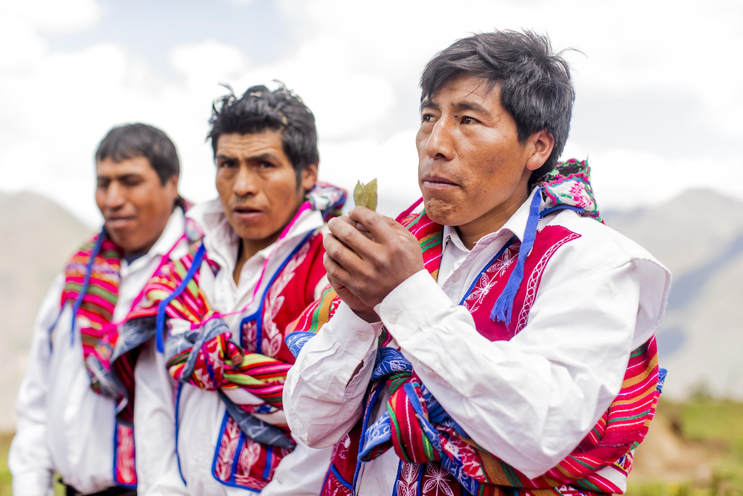 The coca leaf dominates spiritual life in the Andes