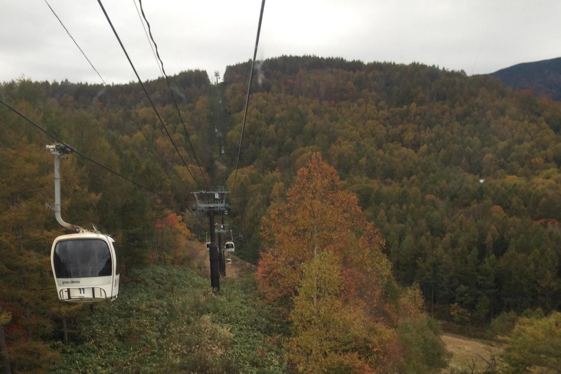 Grandeco ski resort is ripe for autumnal walks