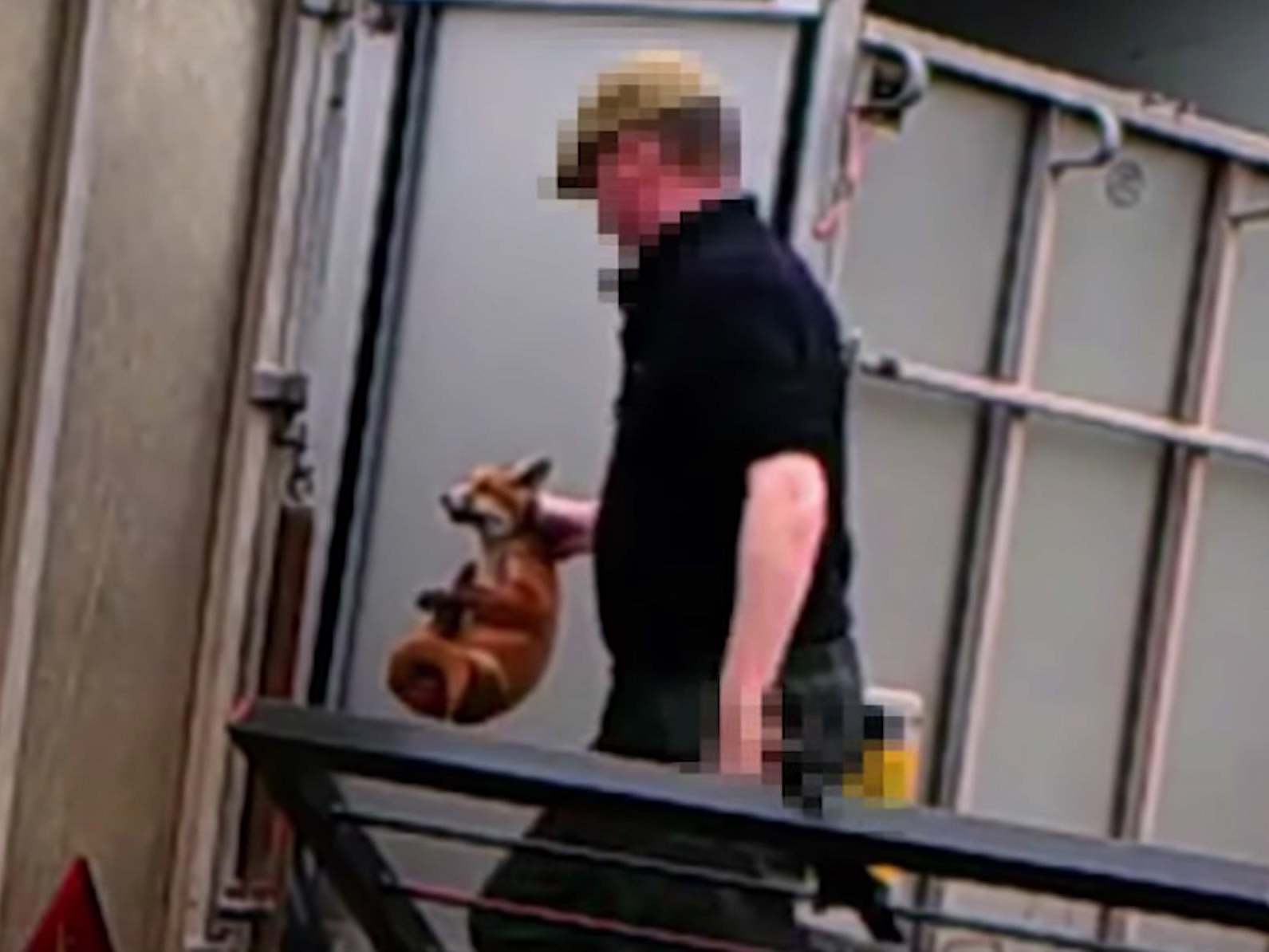 Fox hunter who fed live cubs to his dogs spared jail and avoids ban on keeping animals