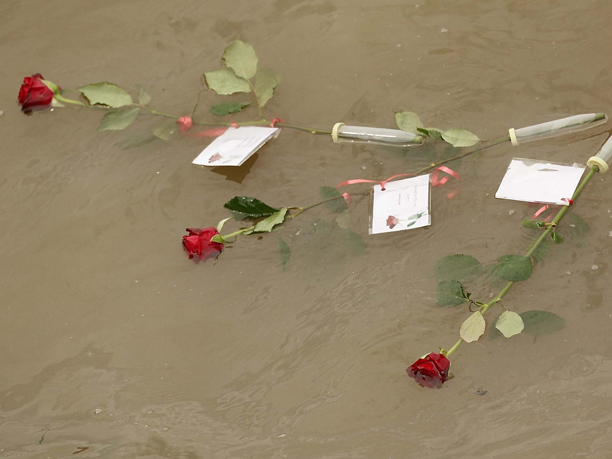 Floral tributes float in the Thames on the 20th anniversary of the disaster on 20 August 2009