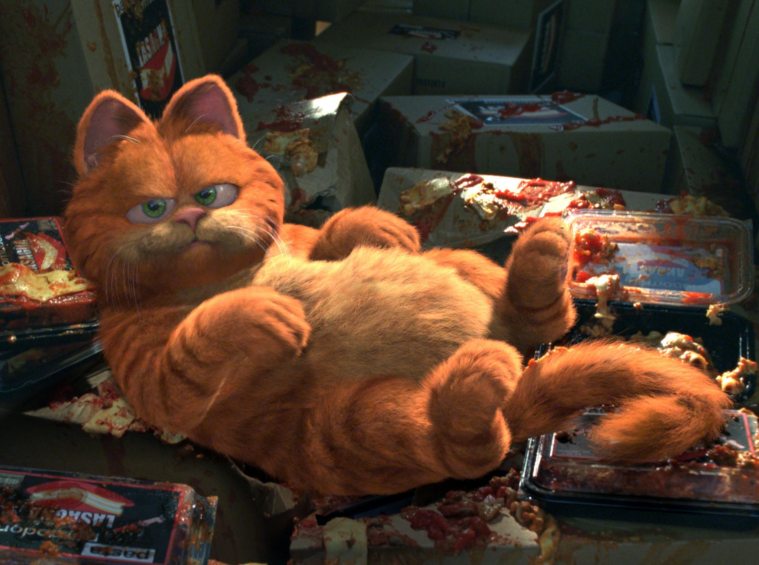 The 2004 film adaptation of ‘Garfield’