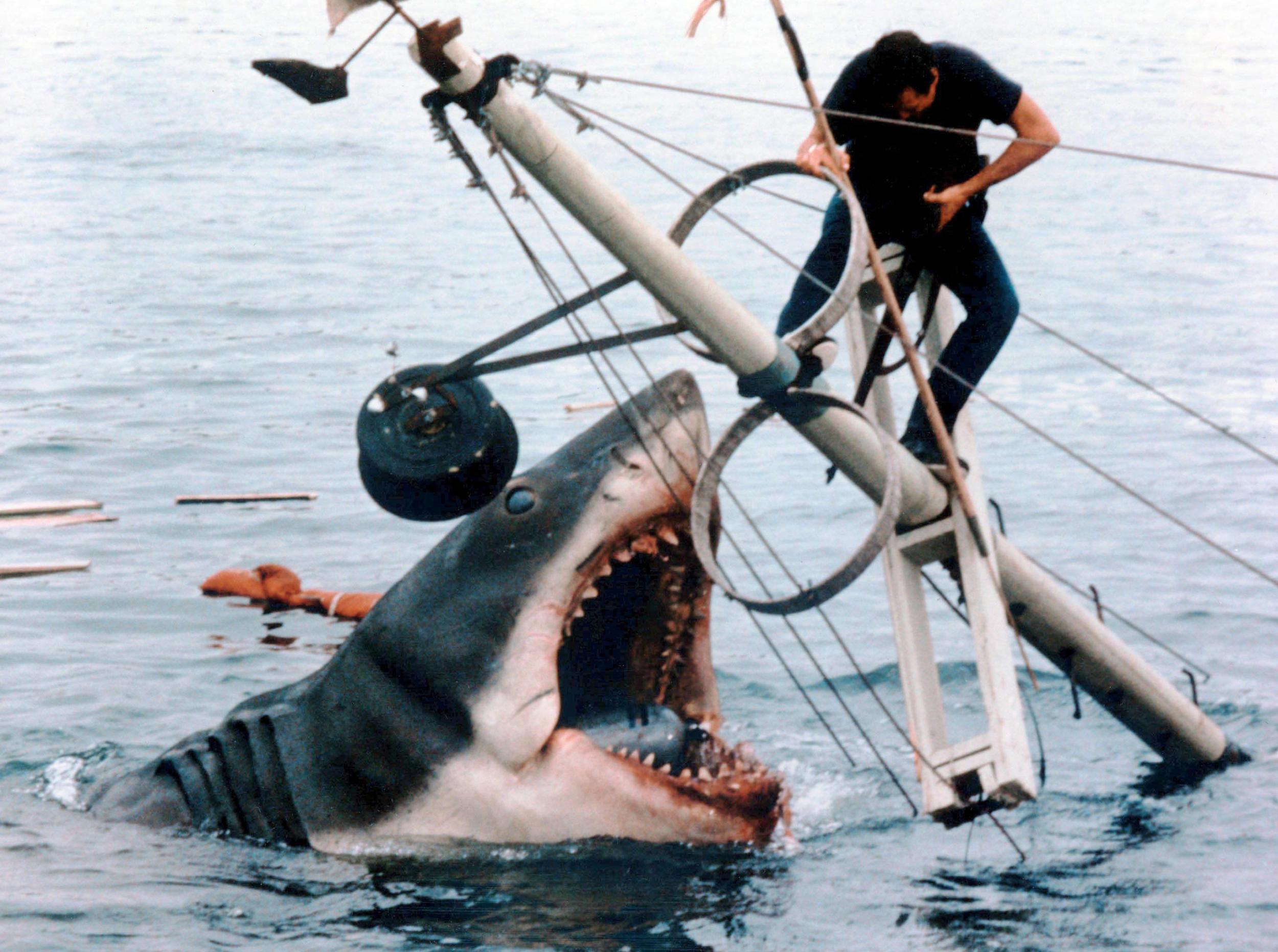 Actor Roy Scheider films scenes for Spielberg’s legendary thriller ‘Jaws’