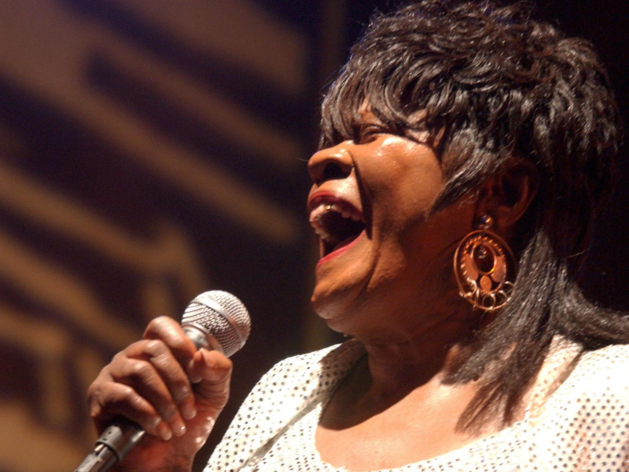 Taylor performs at the Chicago Blues Festival in 2007