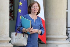 Brexiteers must ‘face reality’ of leaving EU, says Macron ally