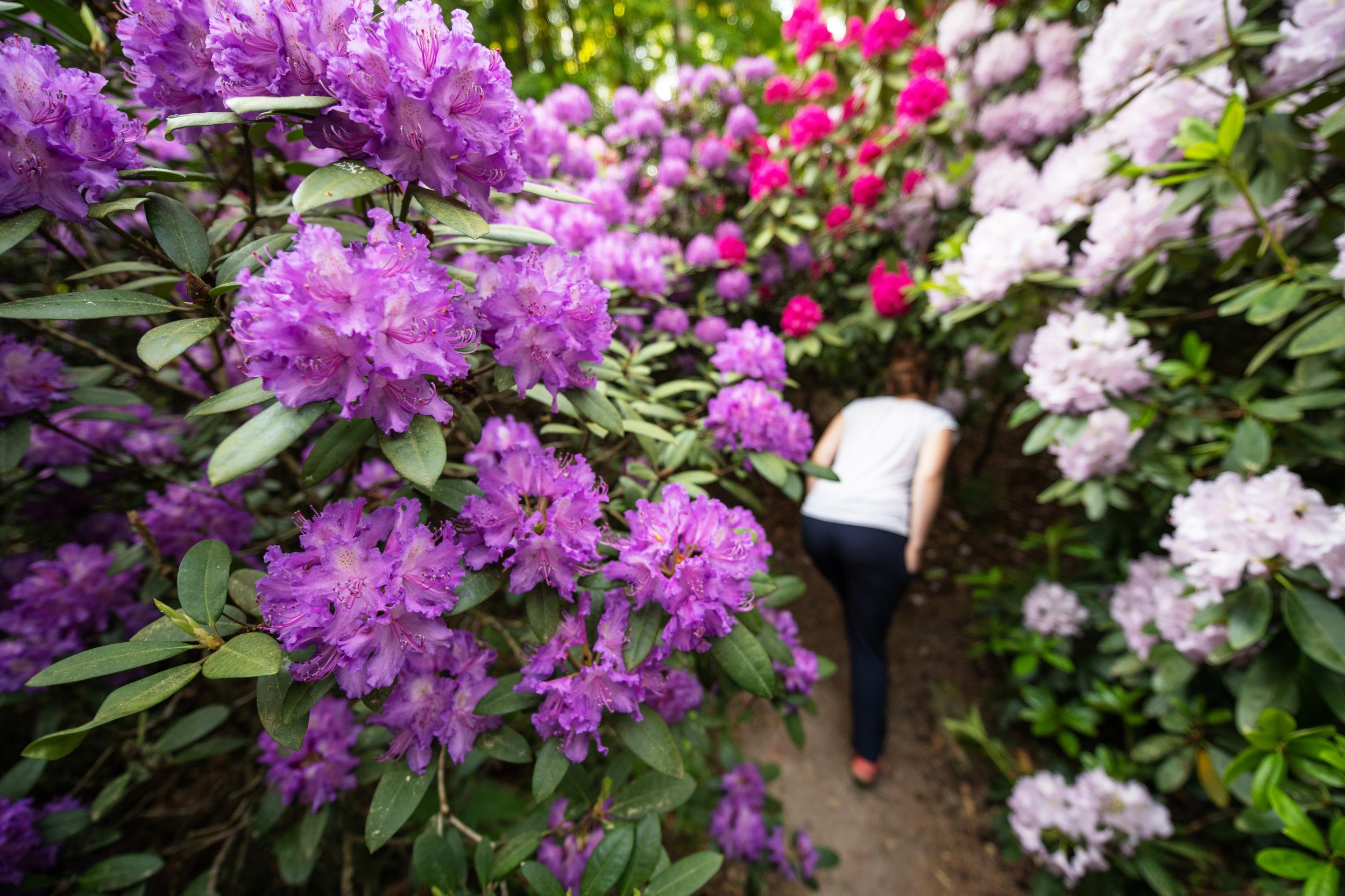 Take some time to stop and smell the flowers