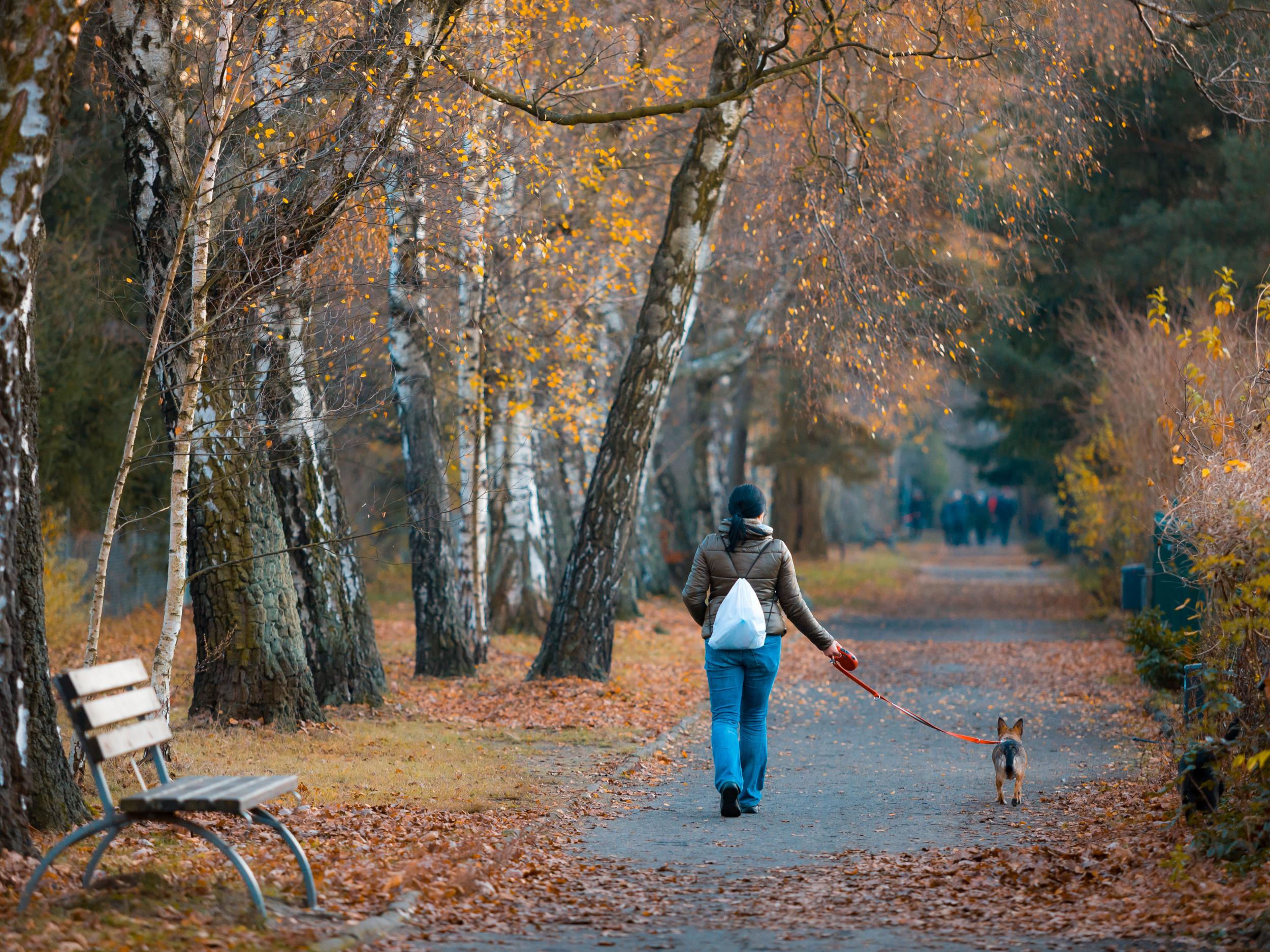 There is mounting pressure on our parks to be used for urgently needed housing infrastructure