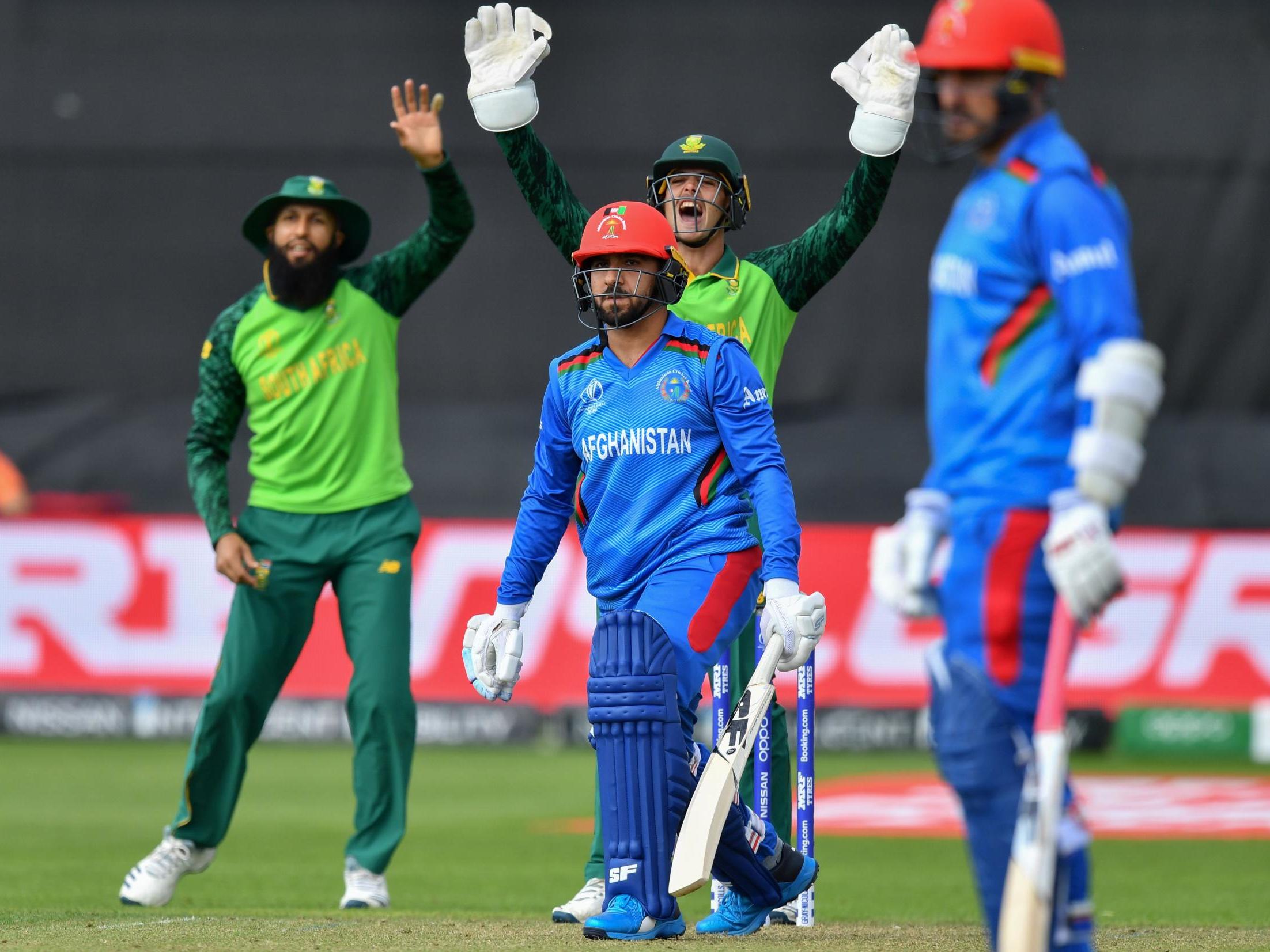 Quinton de Kock makes an appeal for Aftab Alam’s dismissal