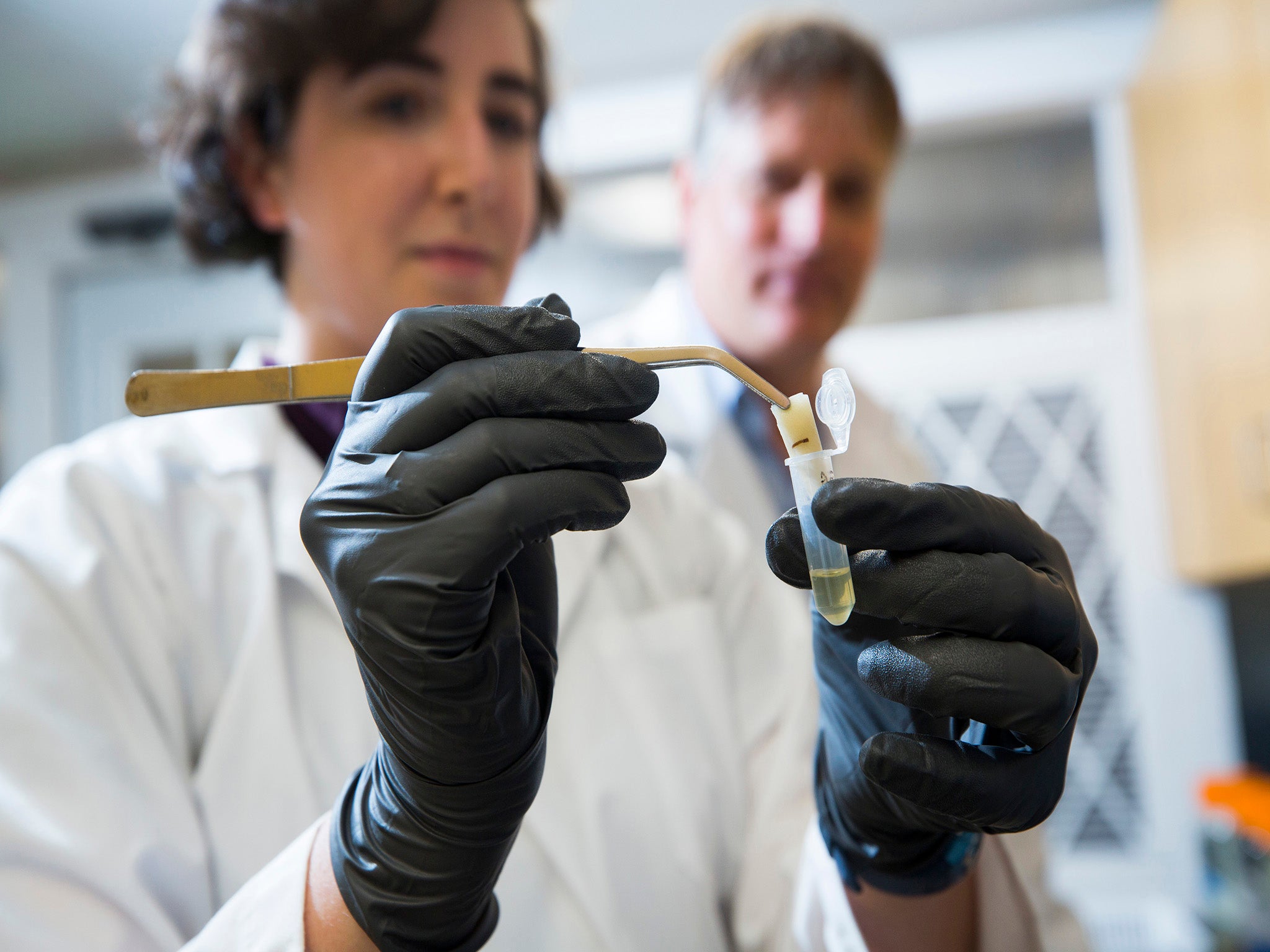 Ruppert pulls an environmental DNA filter out of a test tube for genetic sequencing in a university lab