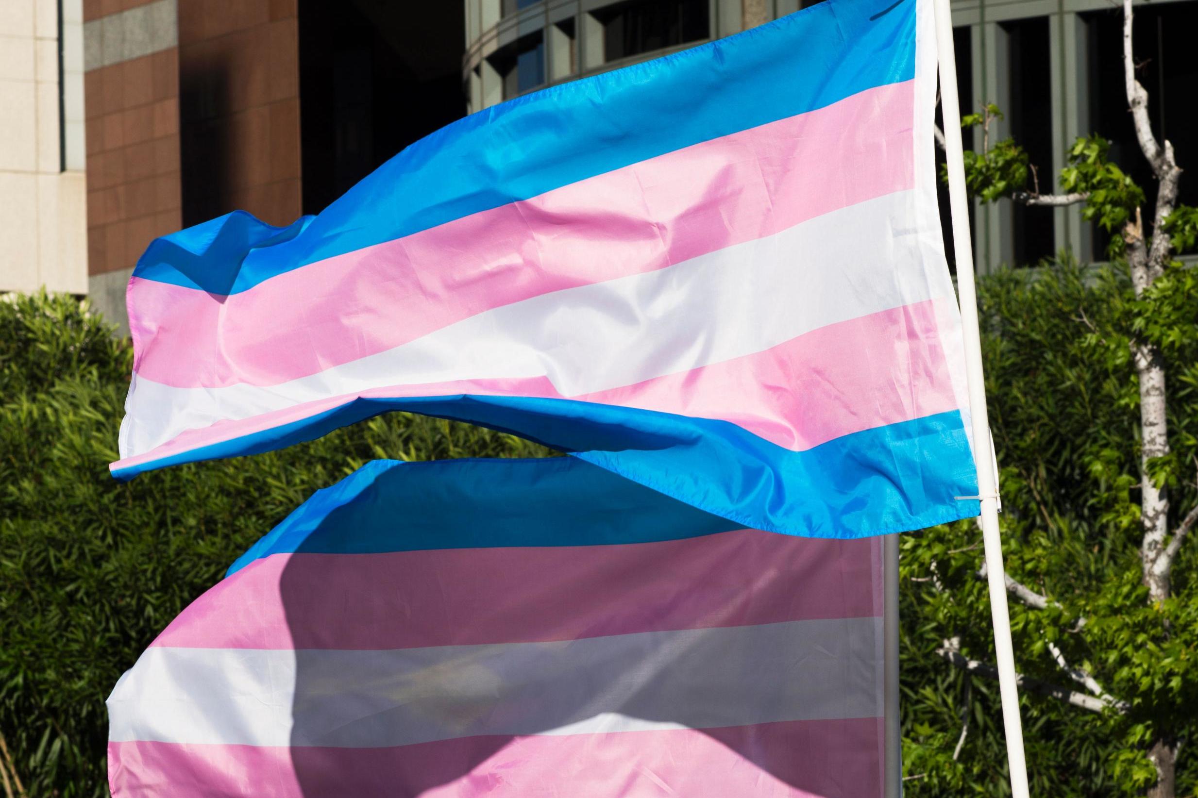 Trans pride flags flutter in the wind at a gathering to celebrate the International Transgender Day of Visibility on 31 March, 2017 in Los Angeles, California.