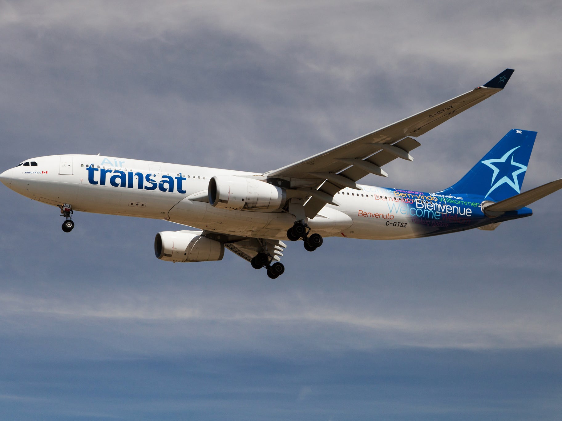 The bugs were found on an Air Transat flight