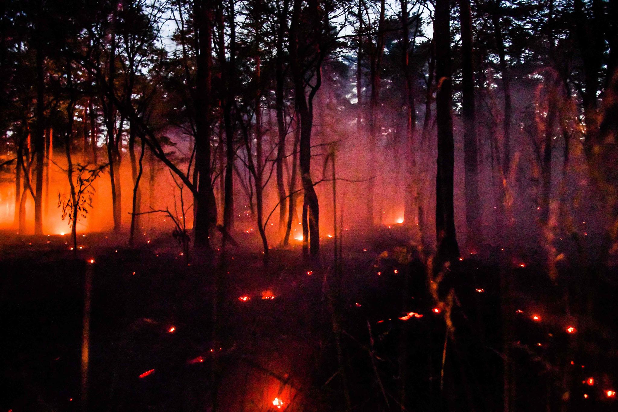 The wildfire in Catalonia is the most serious the region has seen in 20 years